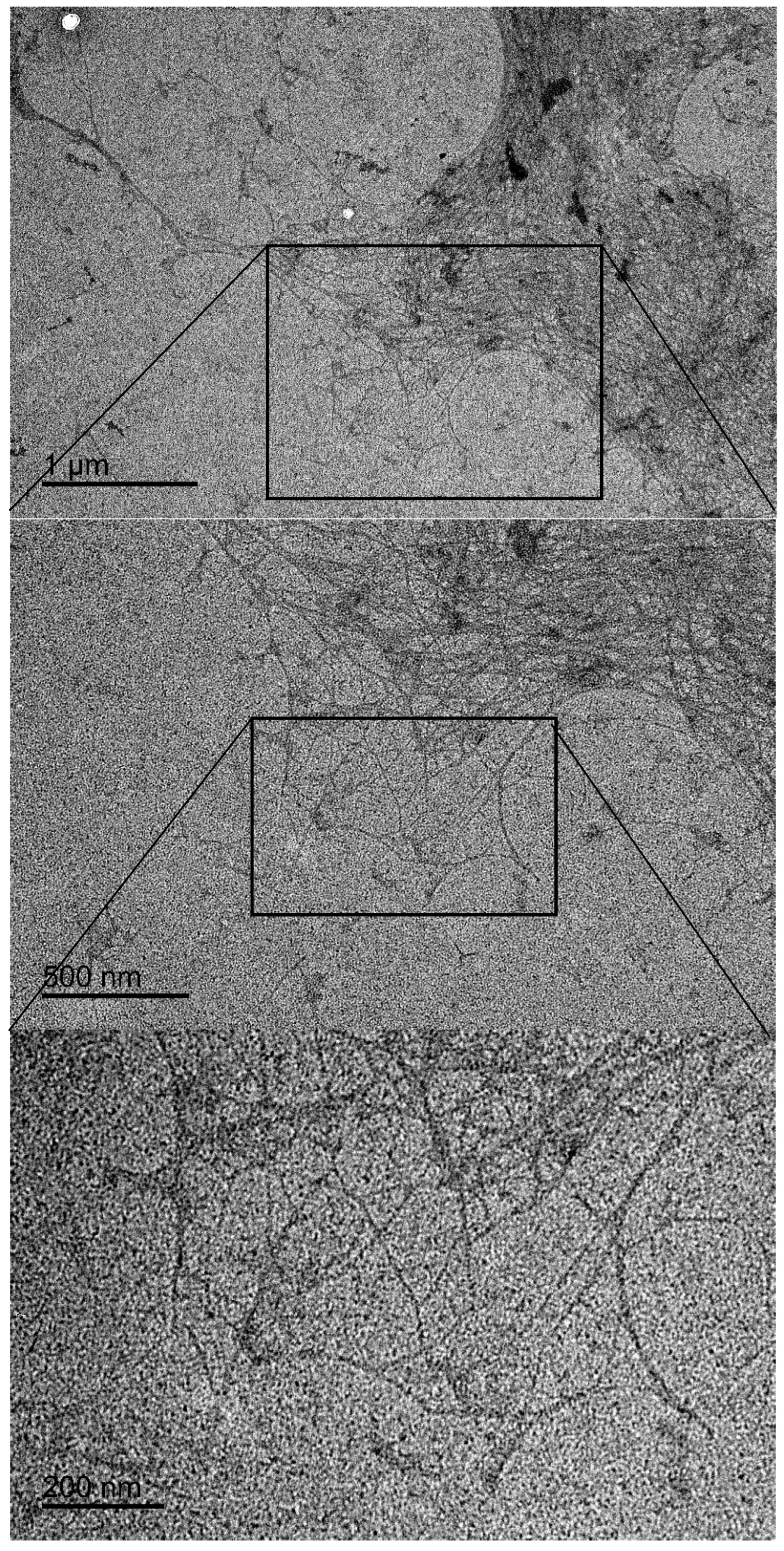 Nanomaterials 14 00507 g002