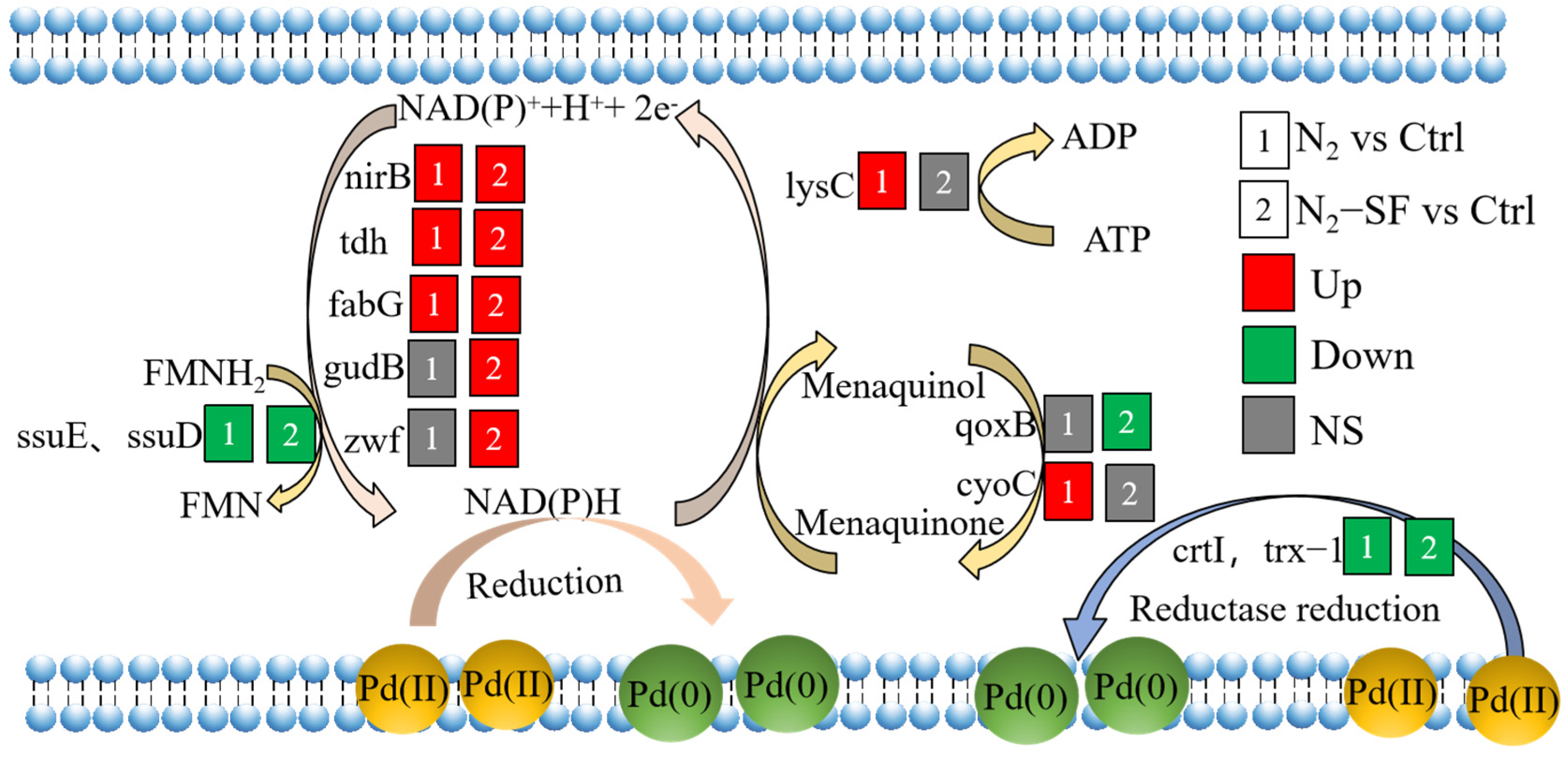Nanomaterials 14 00512 g008