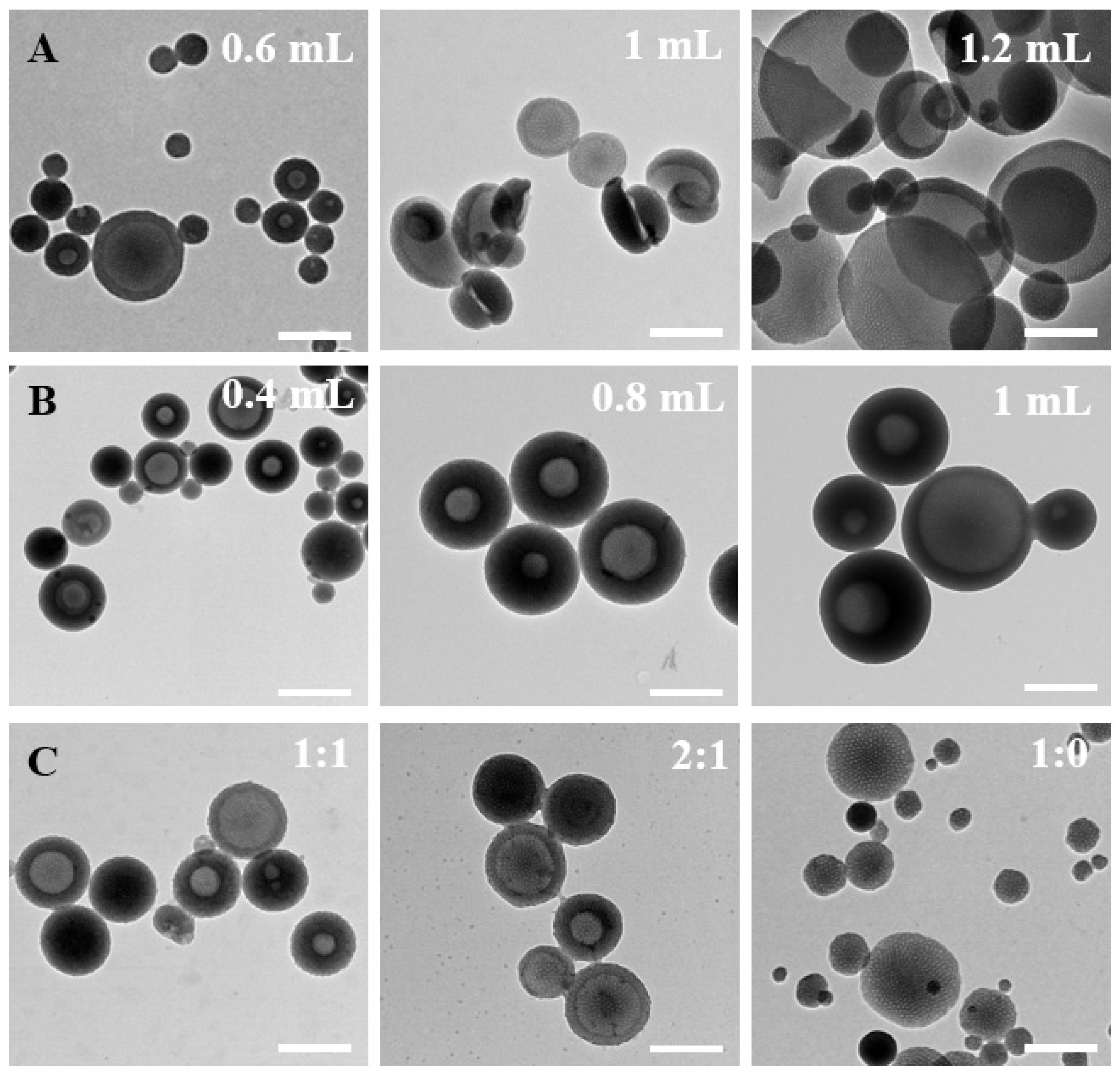 Nanomaterials 14 00519 g003