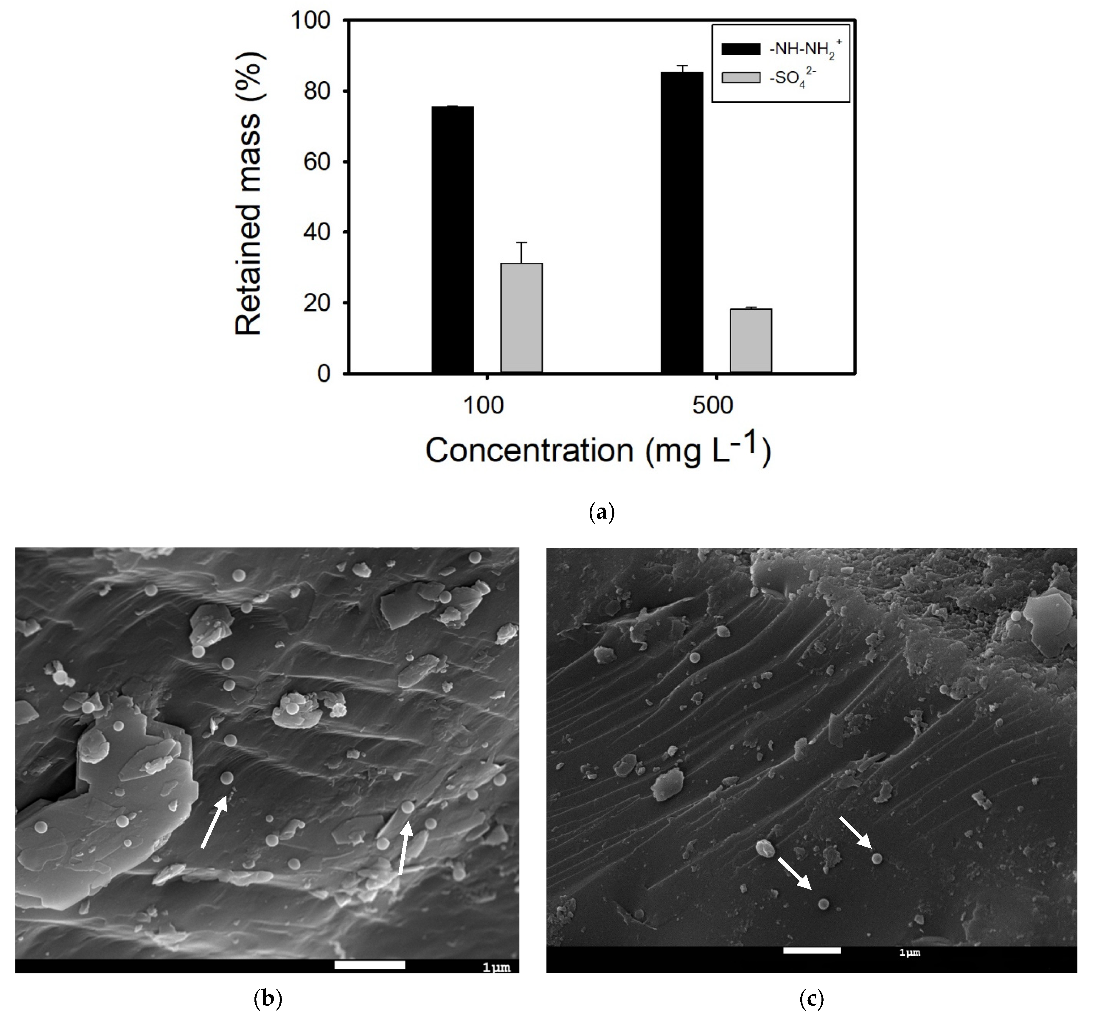 Nanomaterials 14 00529 g002