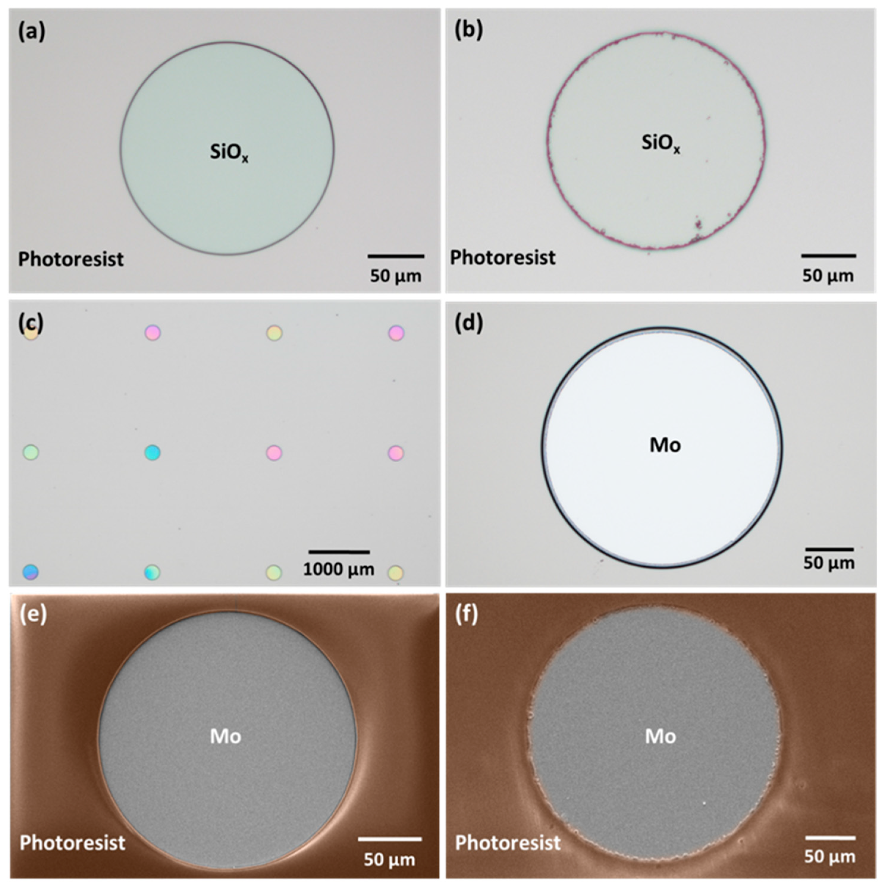 Nanomaterials 14 00543 g005