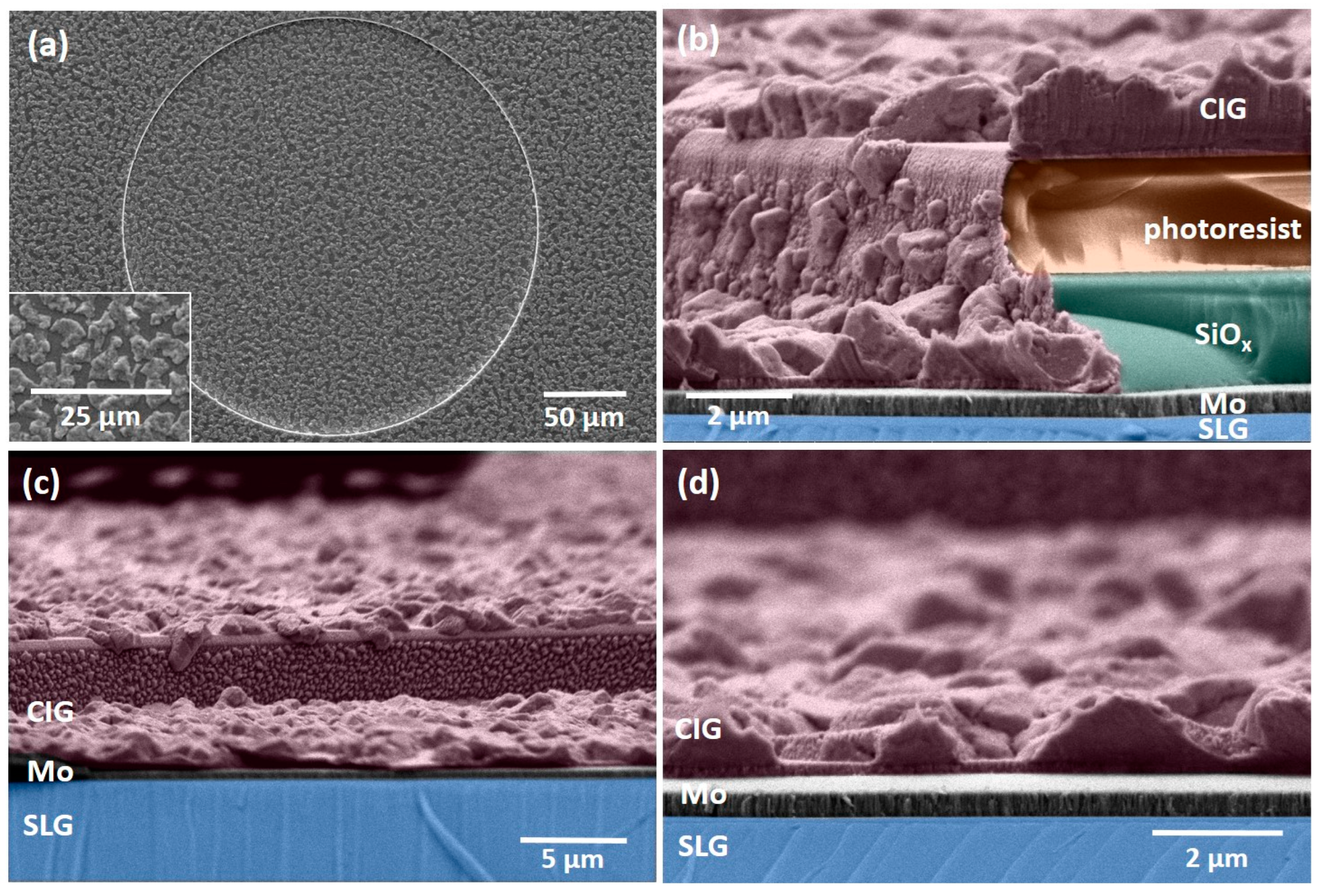 Nanomaterials 14 00543 g006