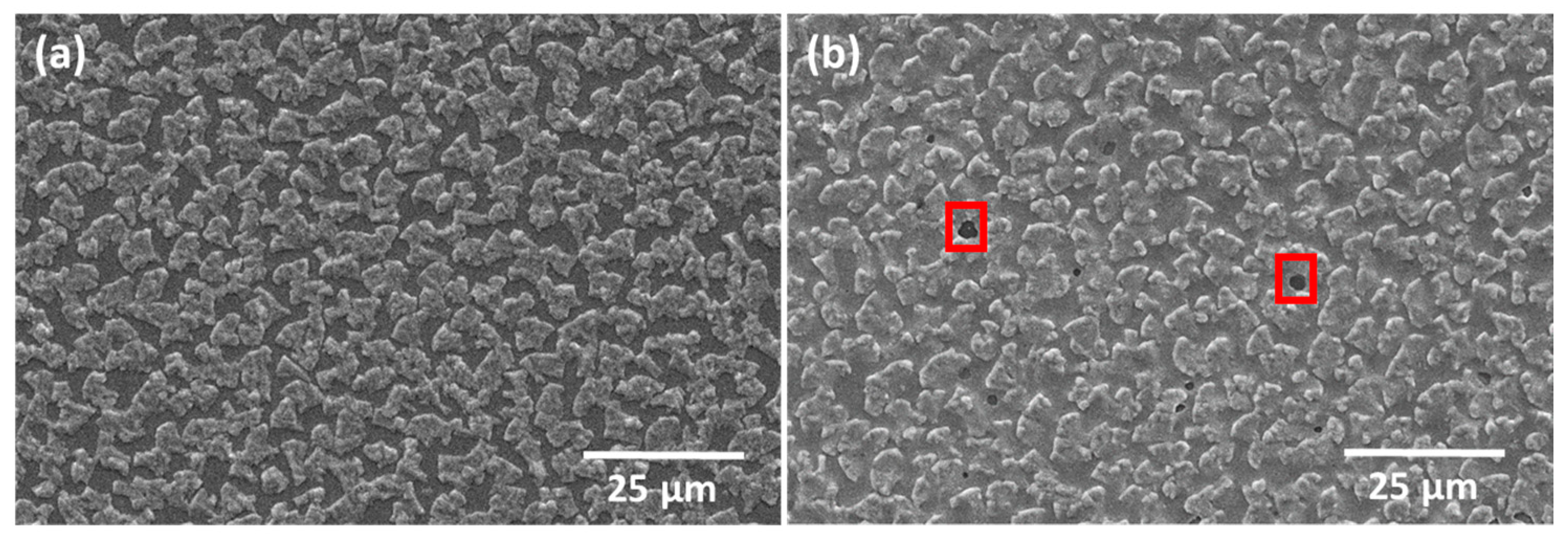 Nanomaterials 14 00543 g007