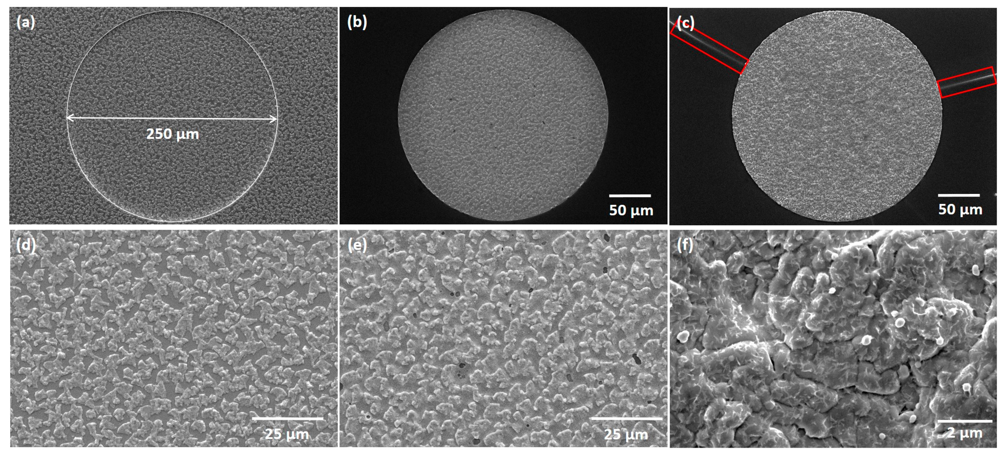 Nanomaterials 14 00543 g008