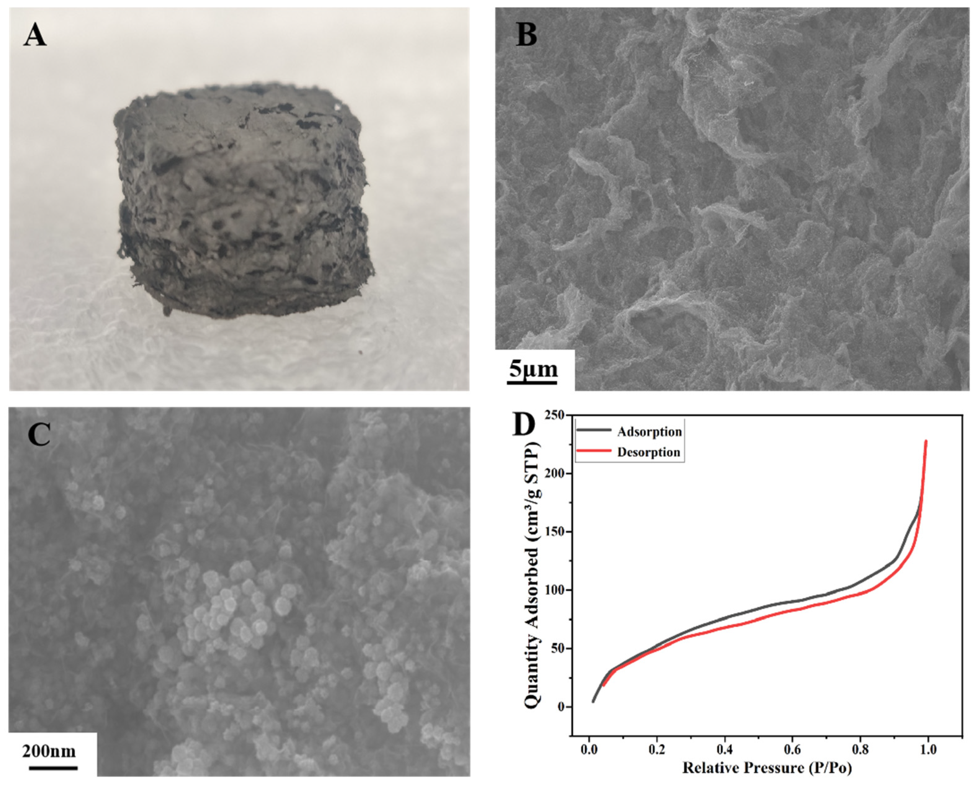 Nanomaterials 14 00547 g002