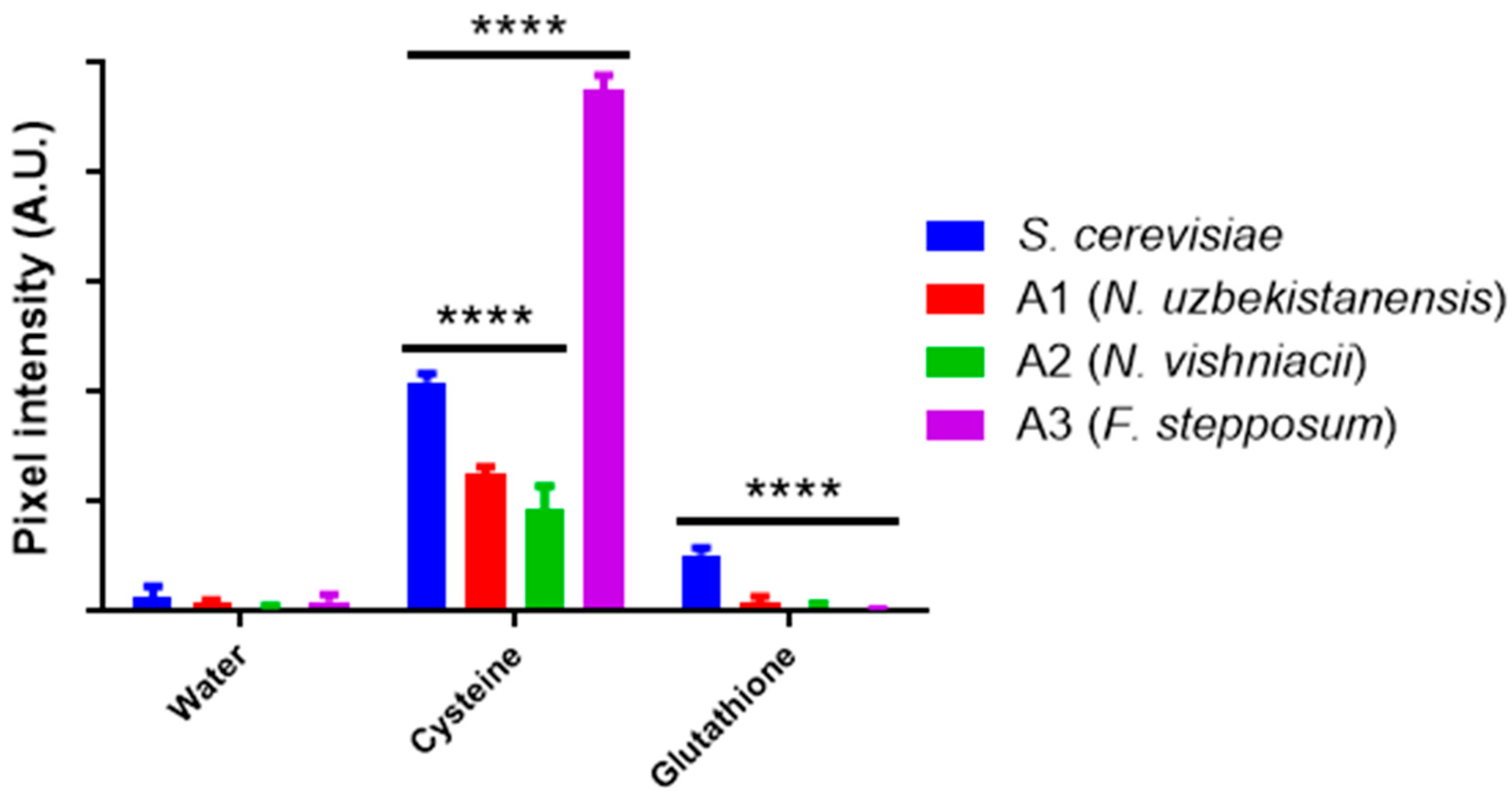 Nanomaterials 14 00552 g001