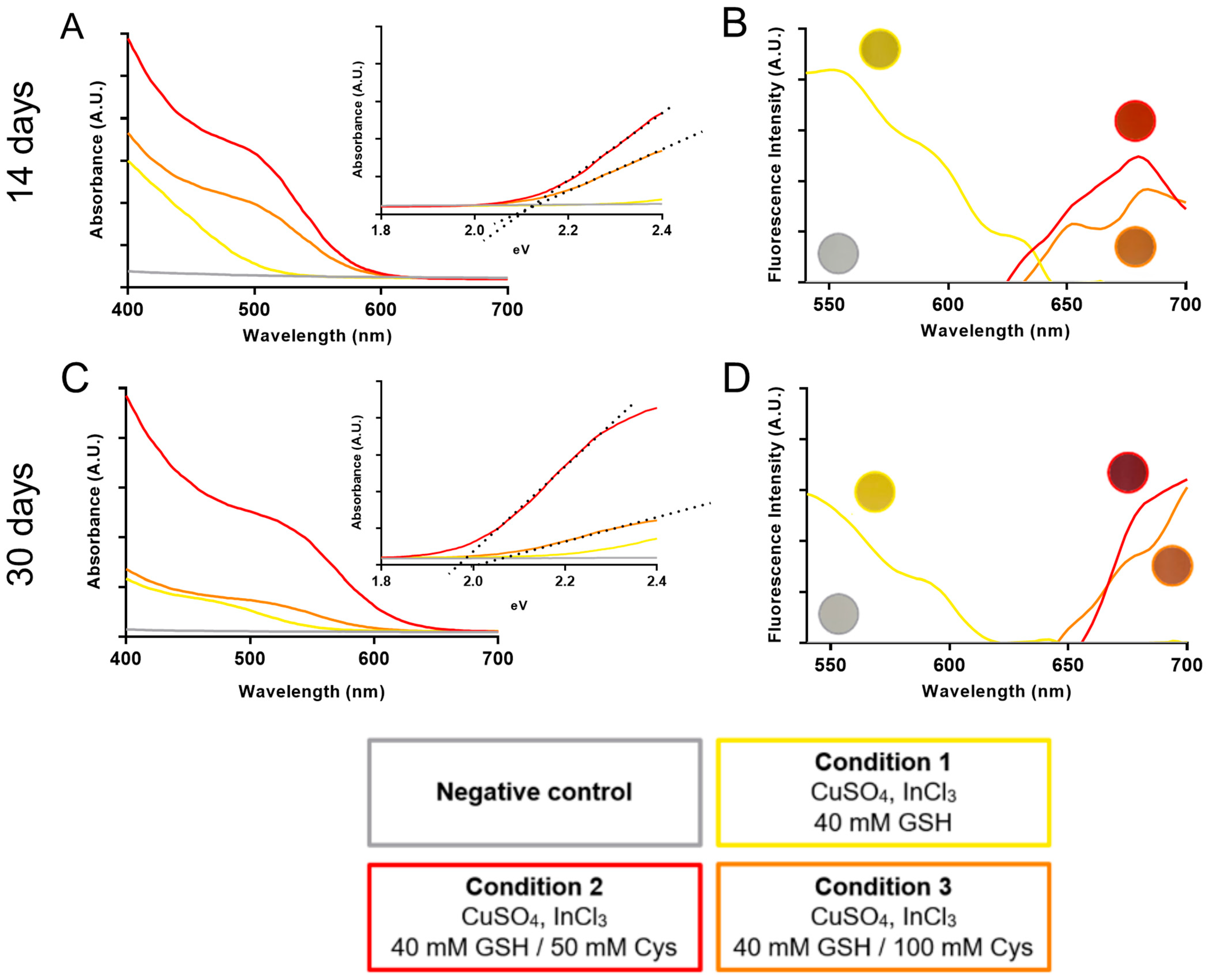 Nanomaterials 14 00552 g003