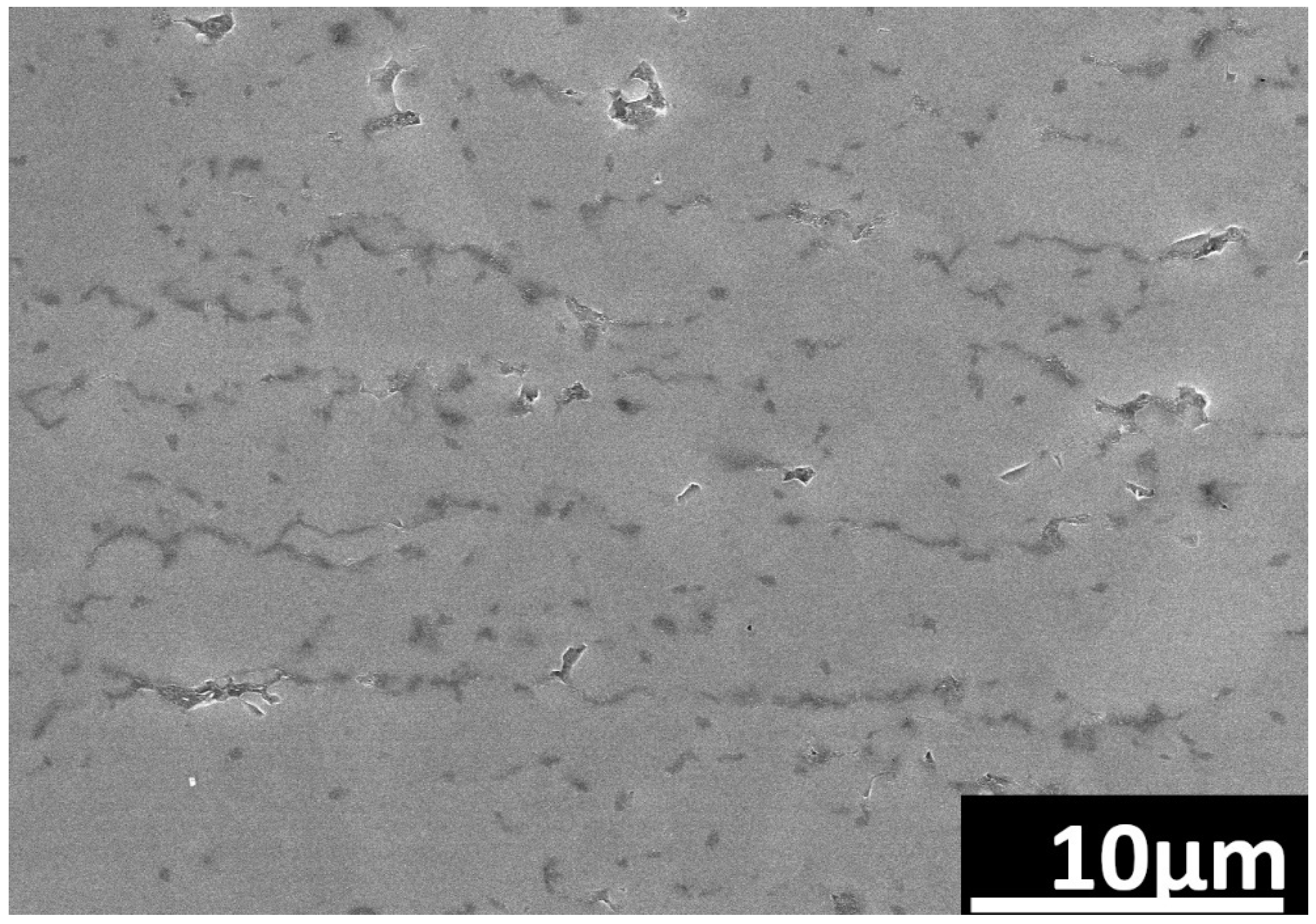 Nanomaterials 14 00555 g003
