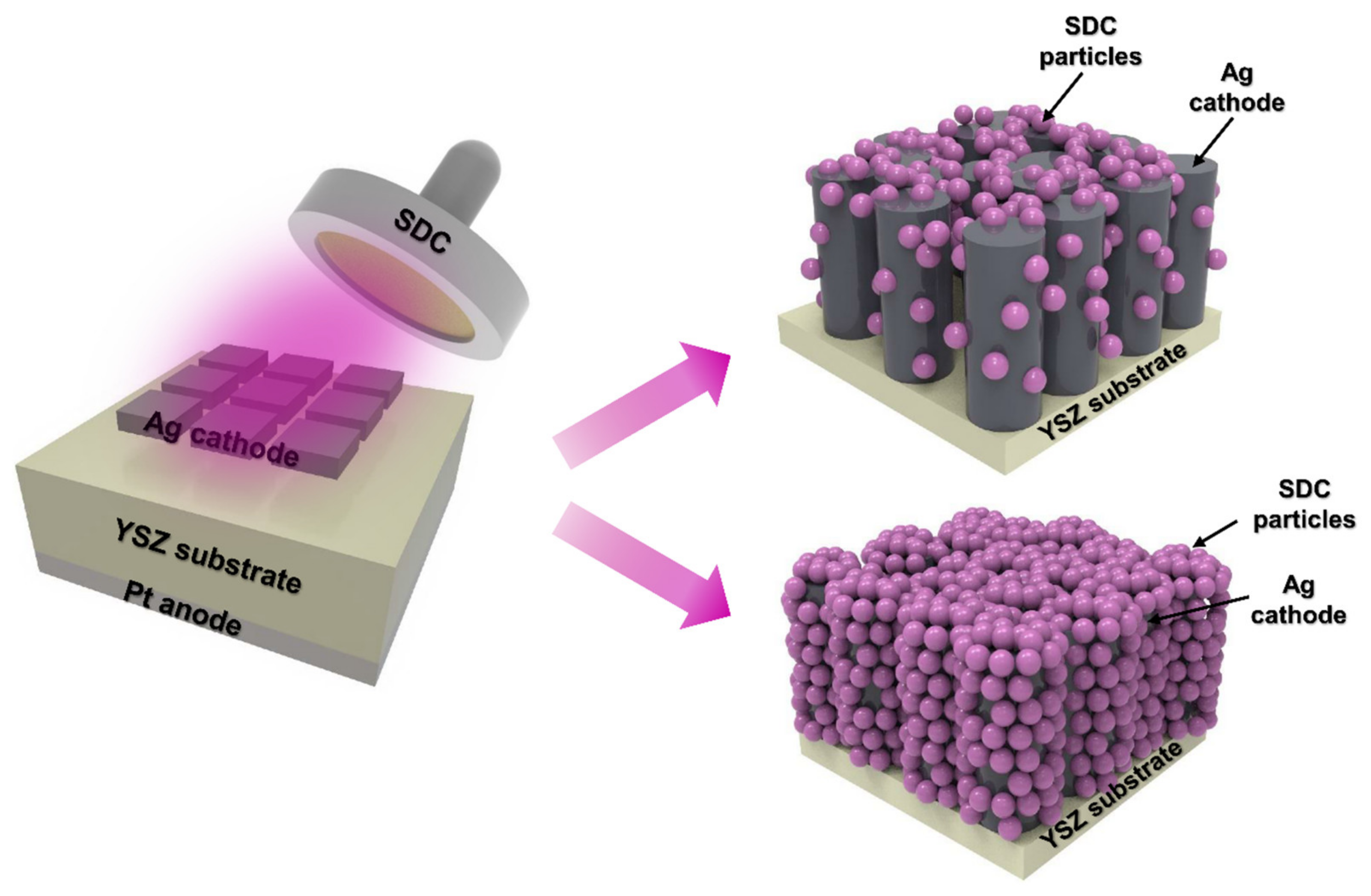 Nanomaterials 14 00561 g001