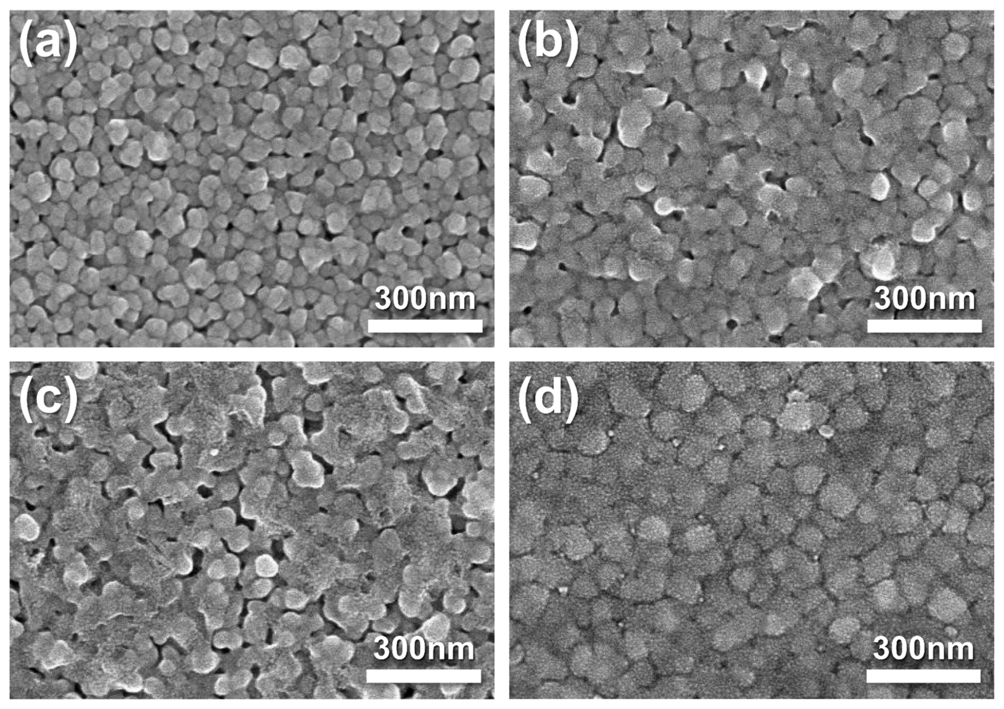 Nanomaterials 14 00561 g002