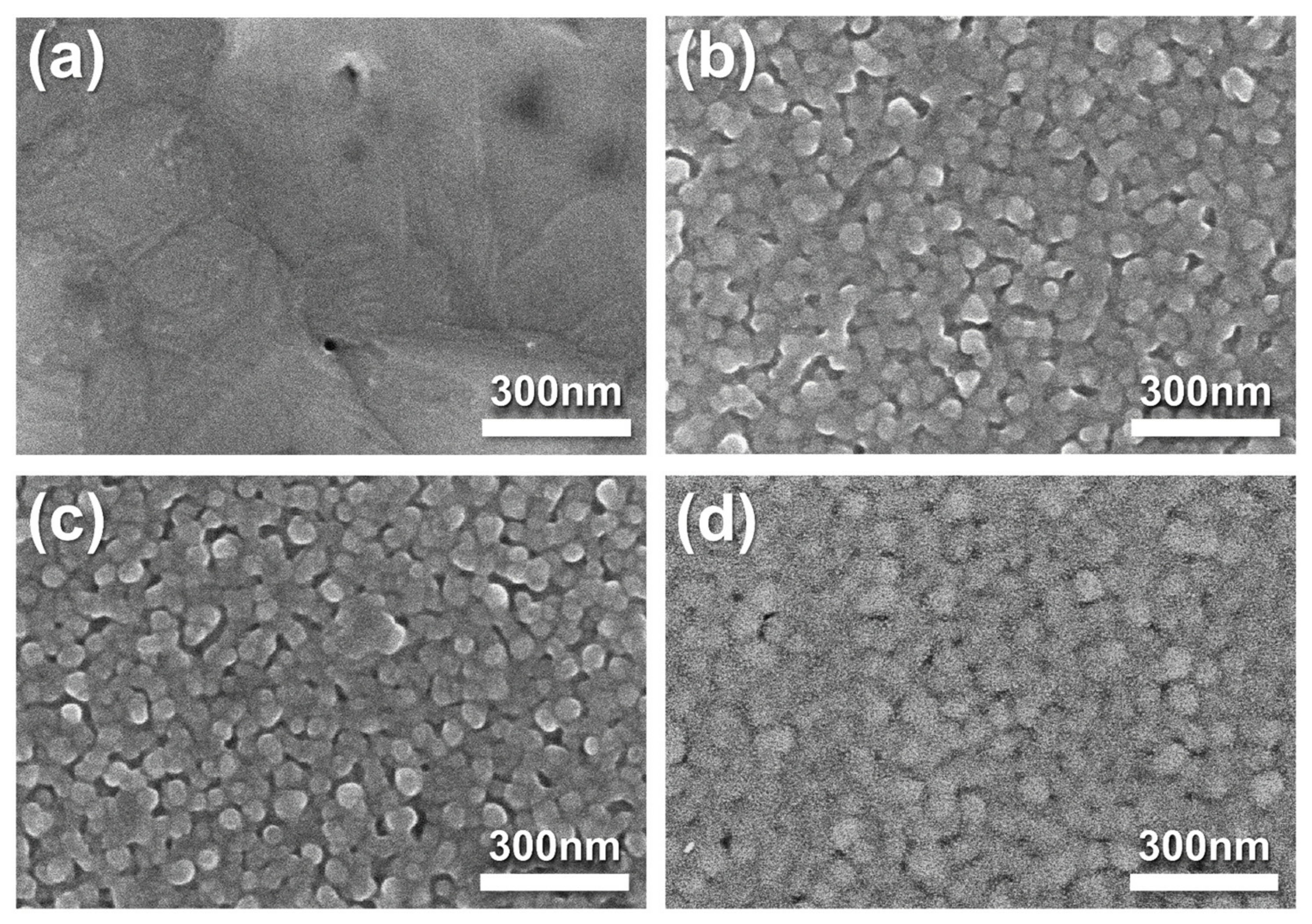 Nanomaterials 14 00561 g010