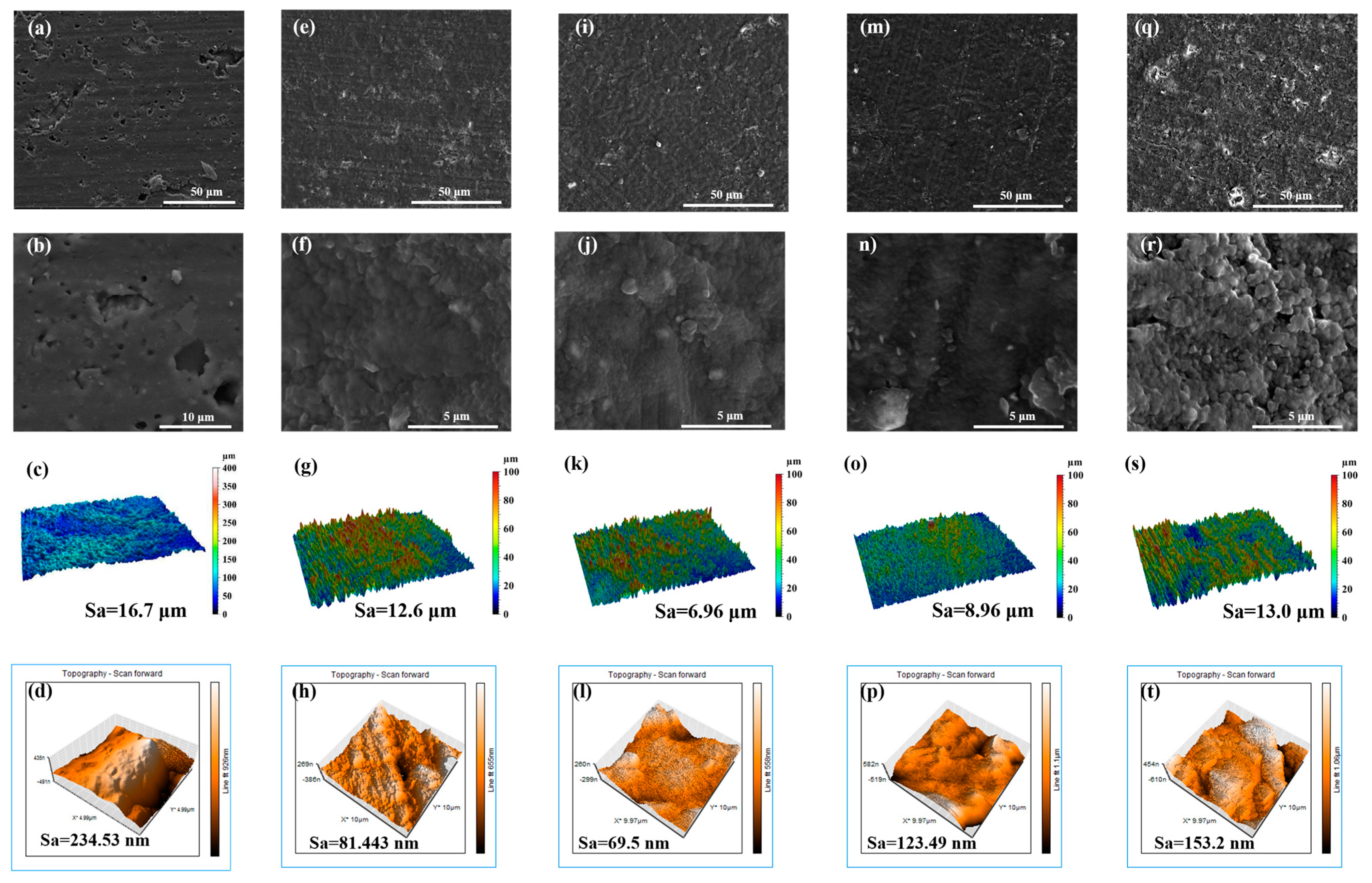 Nanomaterials 14 00564 g002
