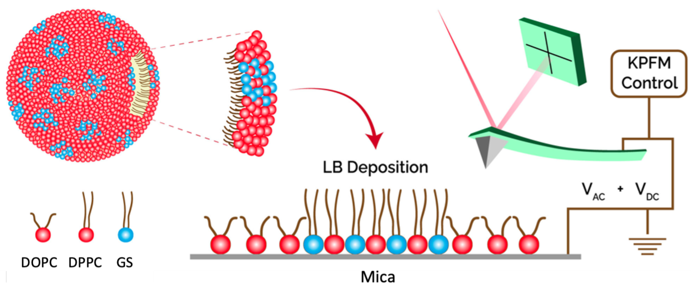 Nanomaterials 14 00572 g001 Nanomaterials 14 00572 g001