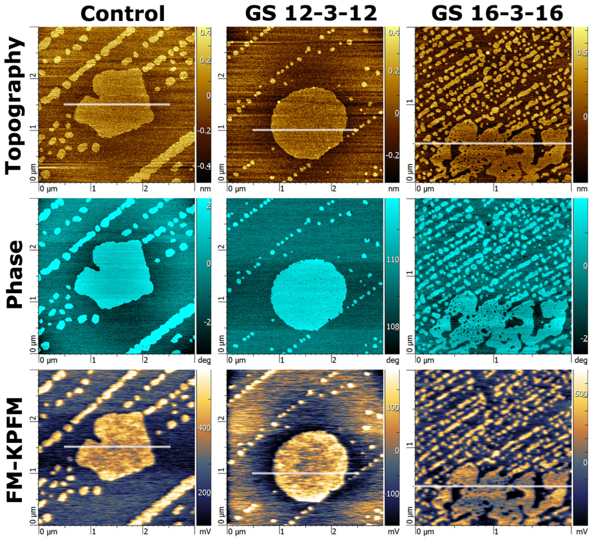 Nanomaterials 14 00572 g004 Nanomaterials 14 00572 g004