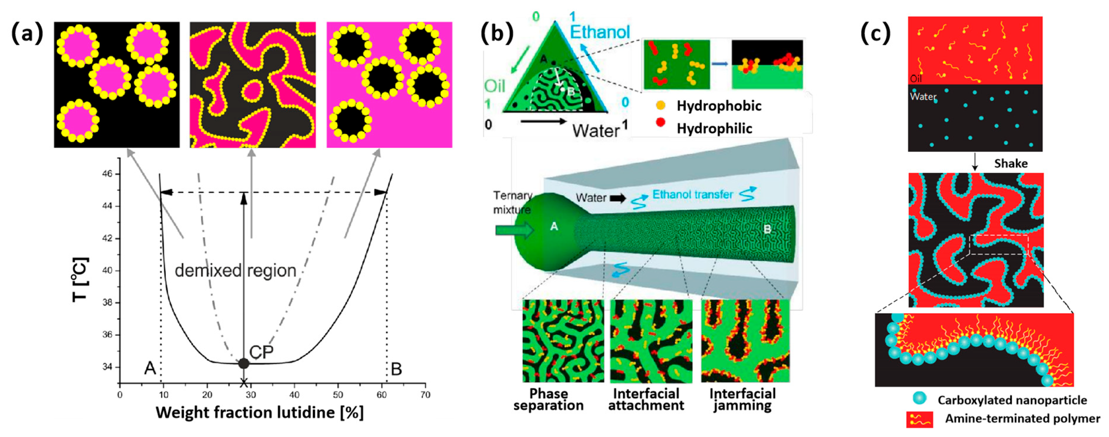 Nanomaterials 14 00574 g001