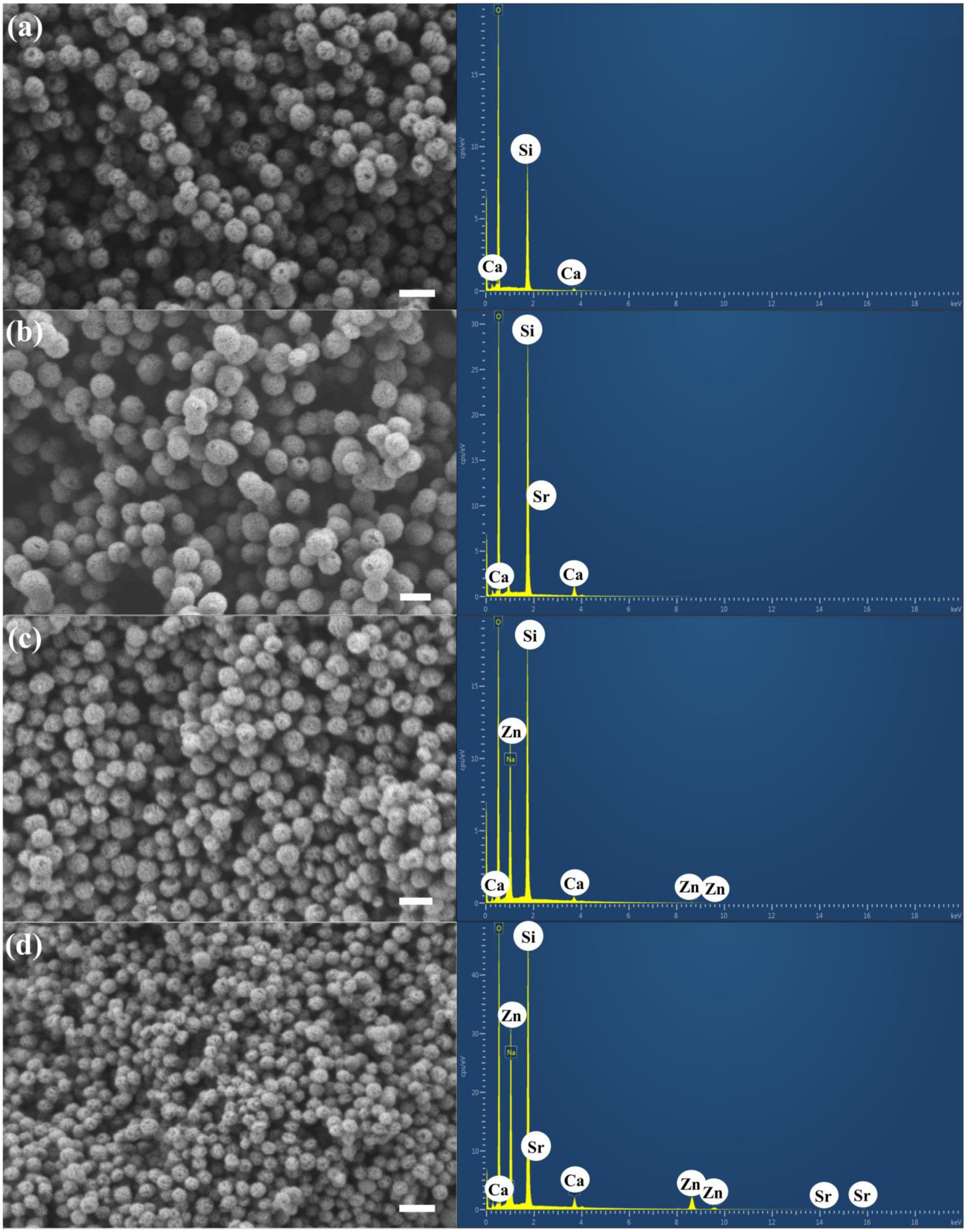 Nanomaterials 14 00575 g002