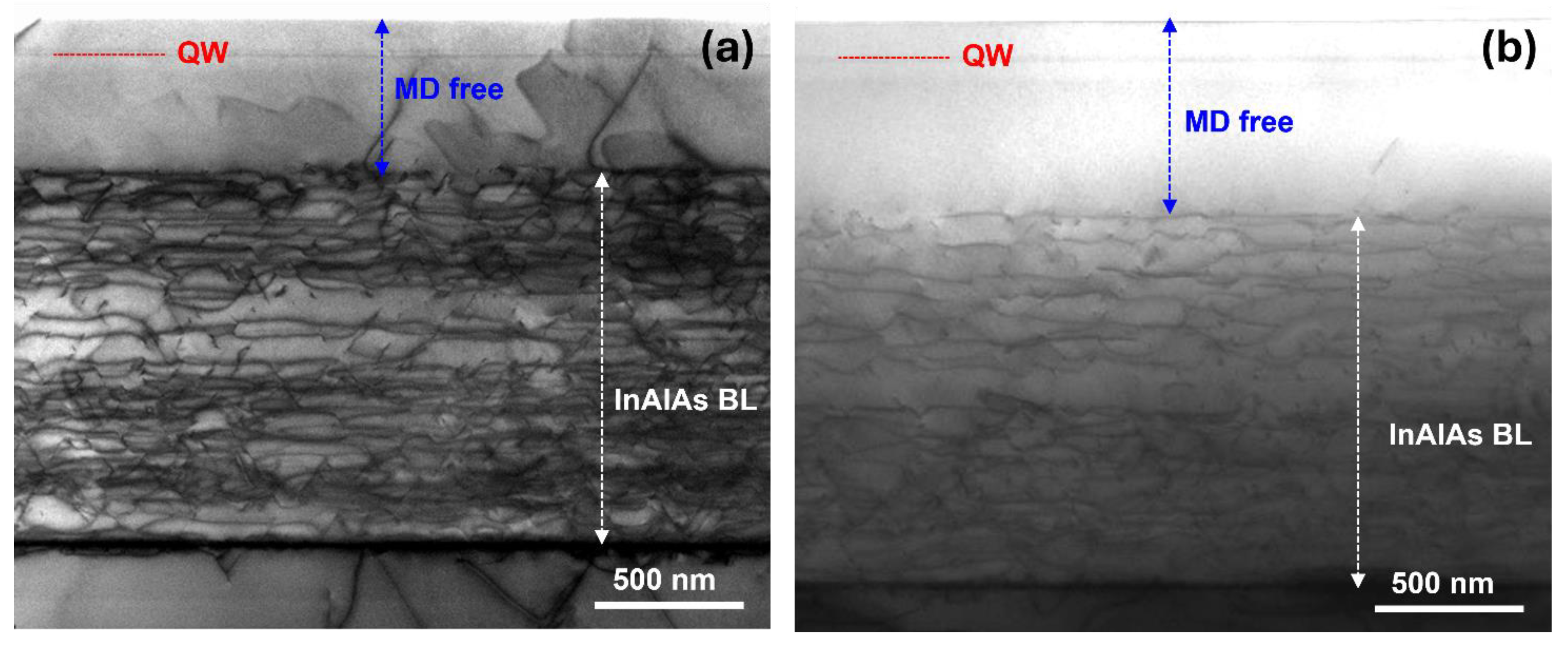 Nanomaterials 14 00592 g003 Nanomaterials 14 00592 g003