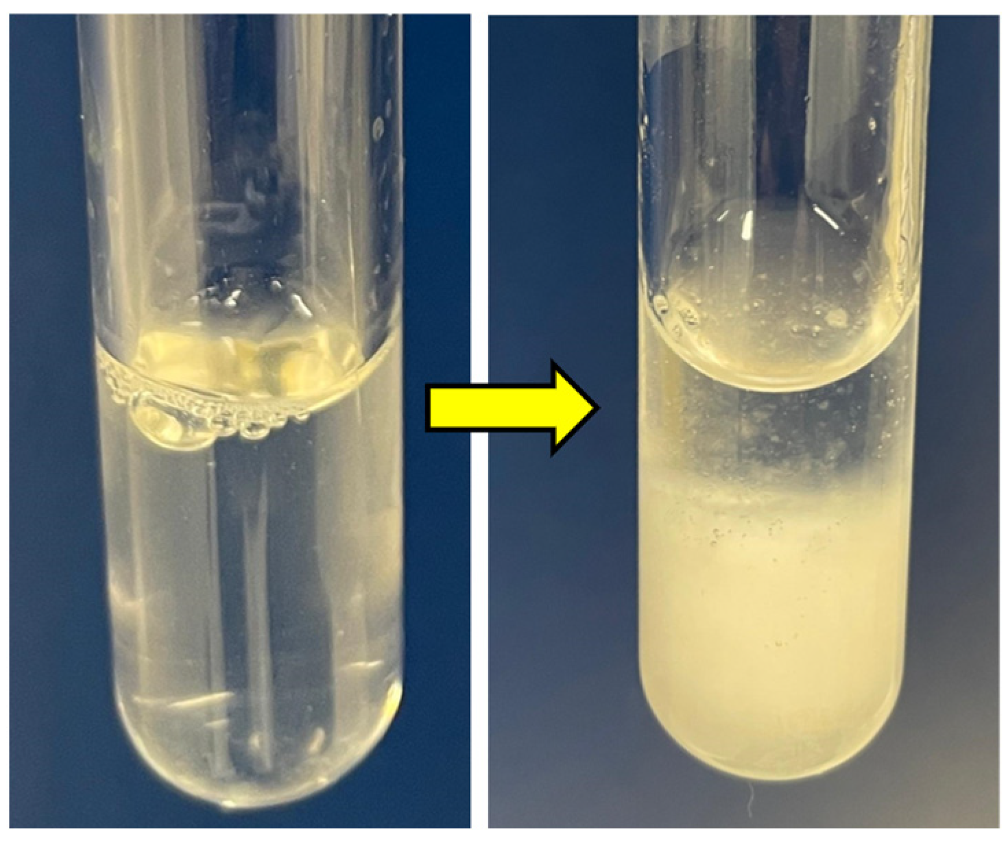 Nanomaterials 14 00597 g004