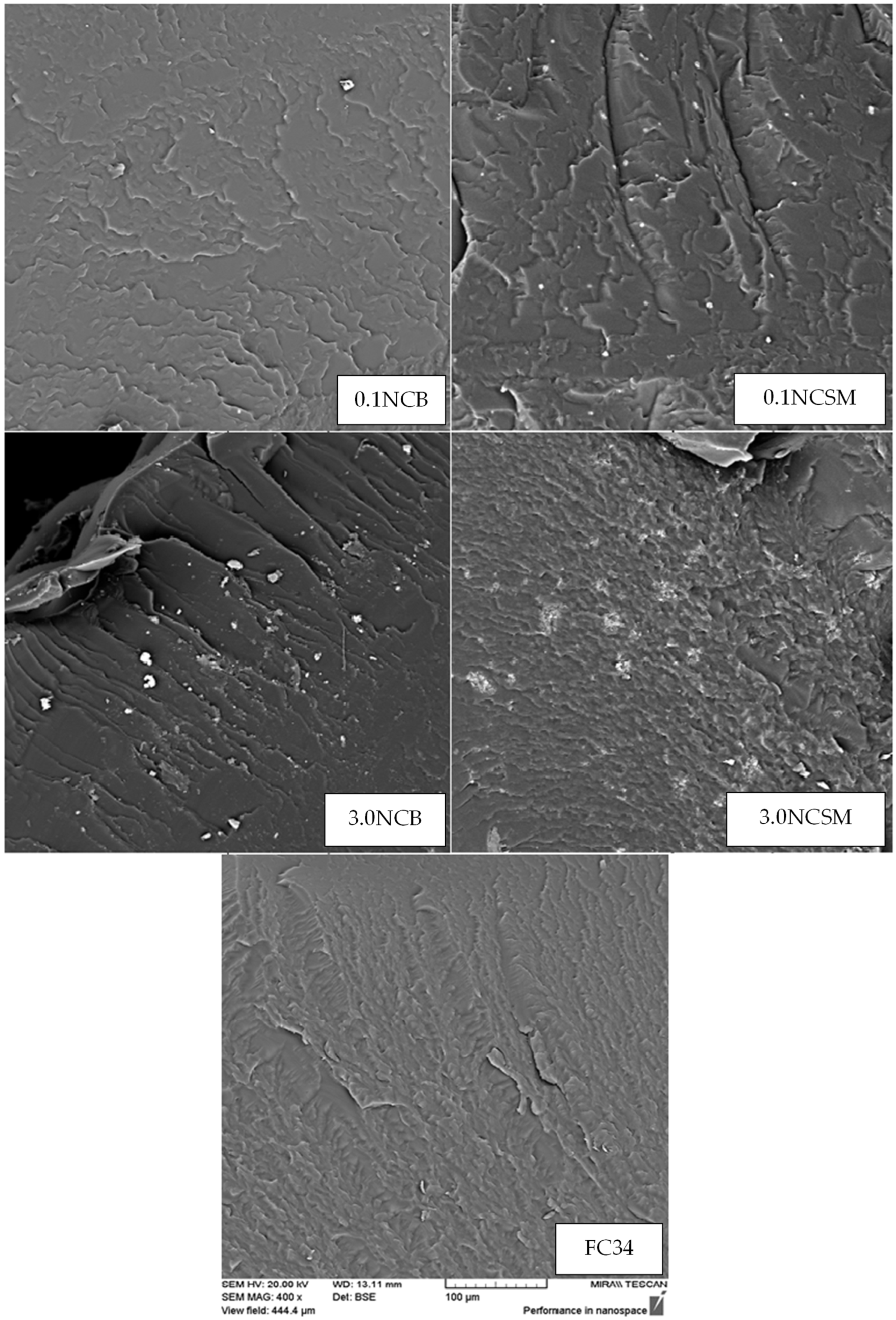 Nanomaterials 14 00597 g009
