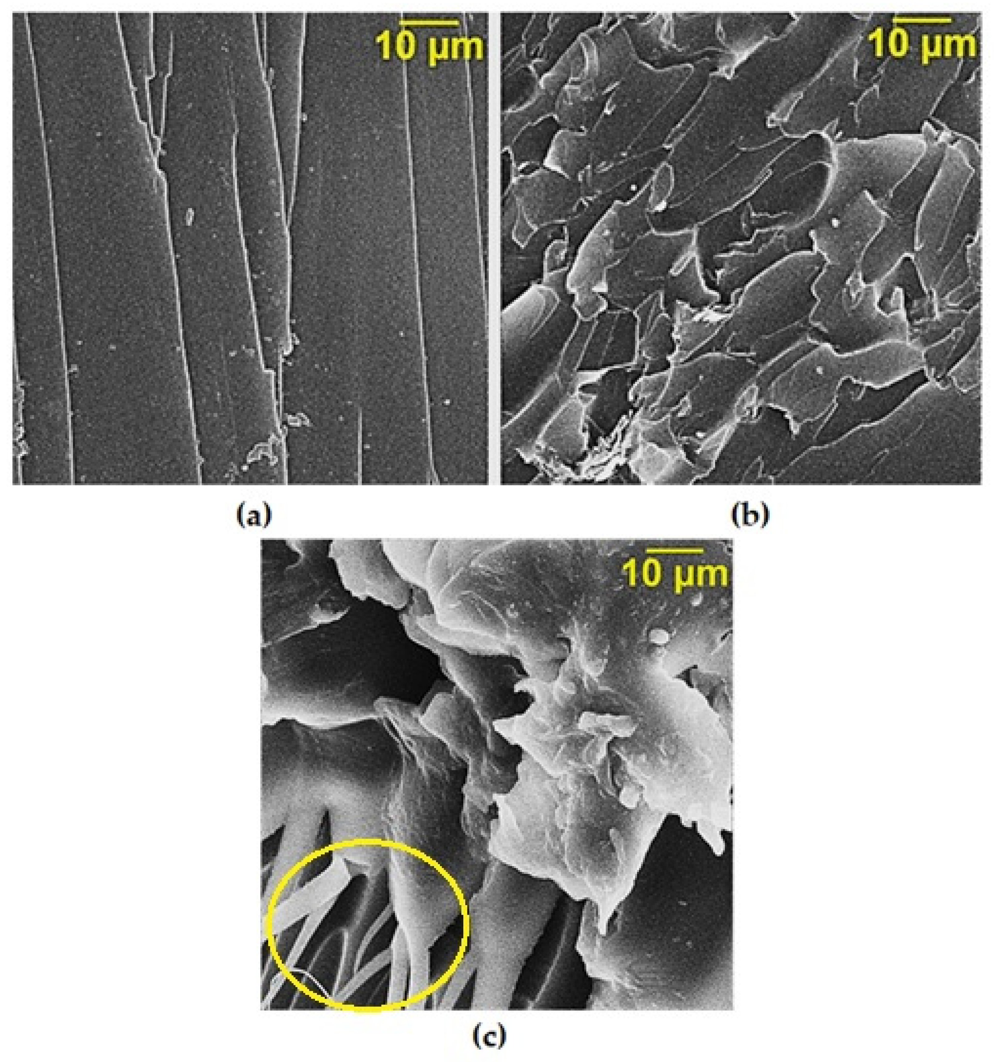 Nanomaterials 14 00602 g008