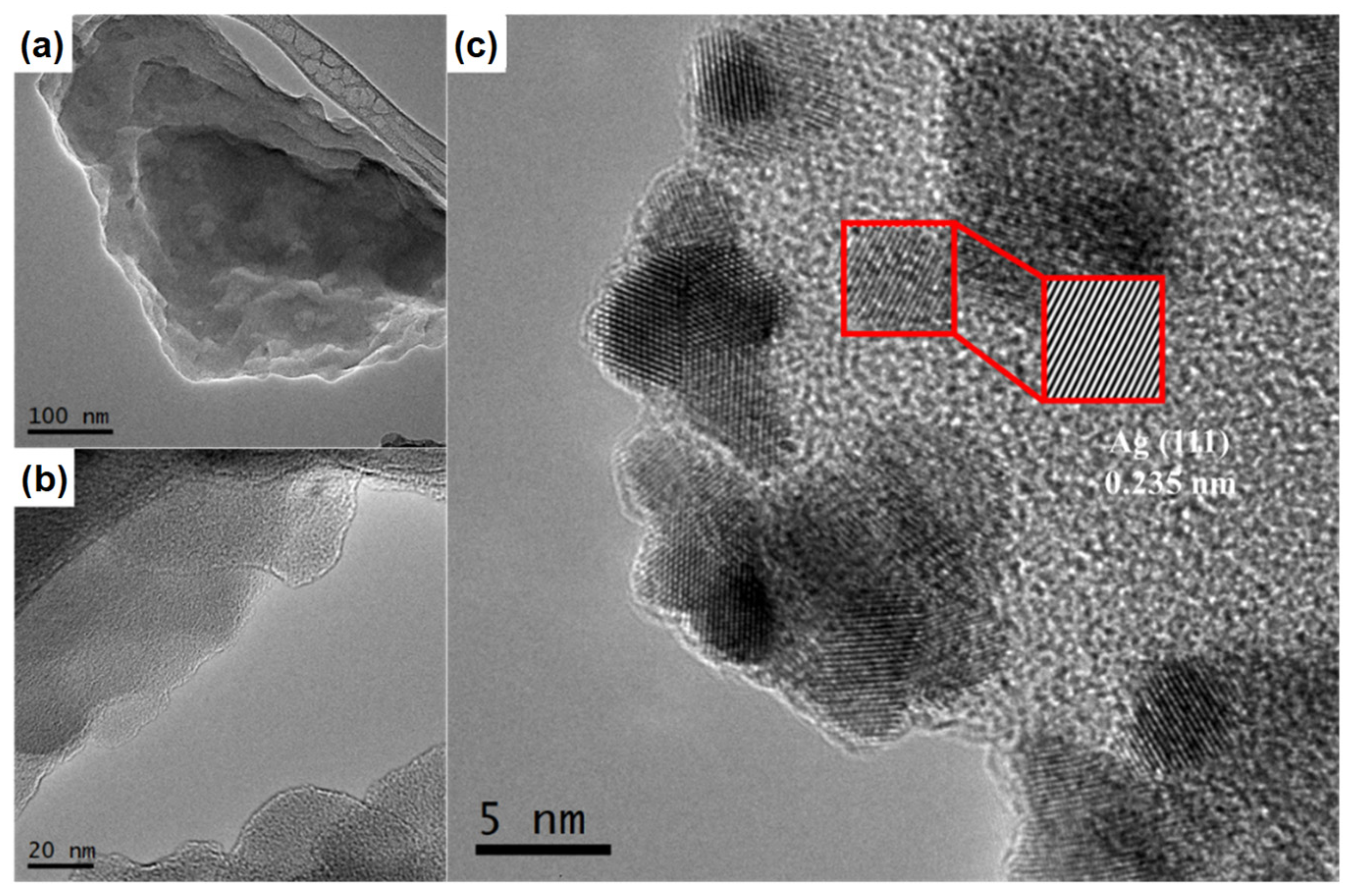 Nanomaterials 14 00623 g002