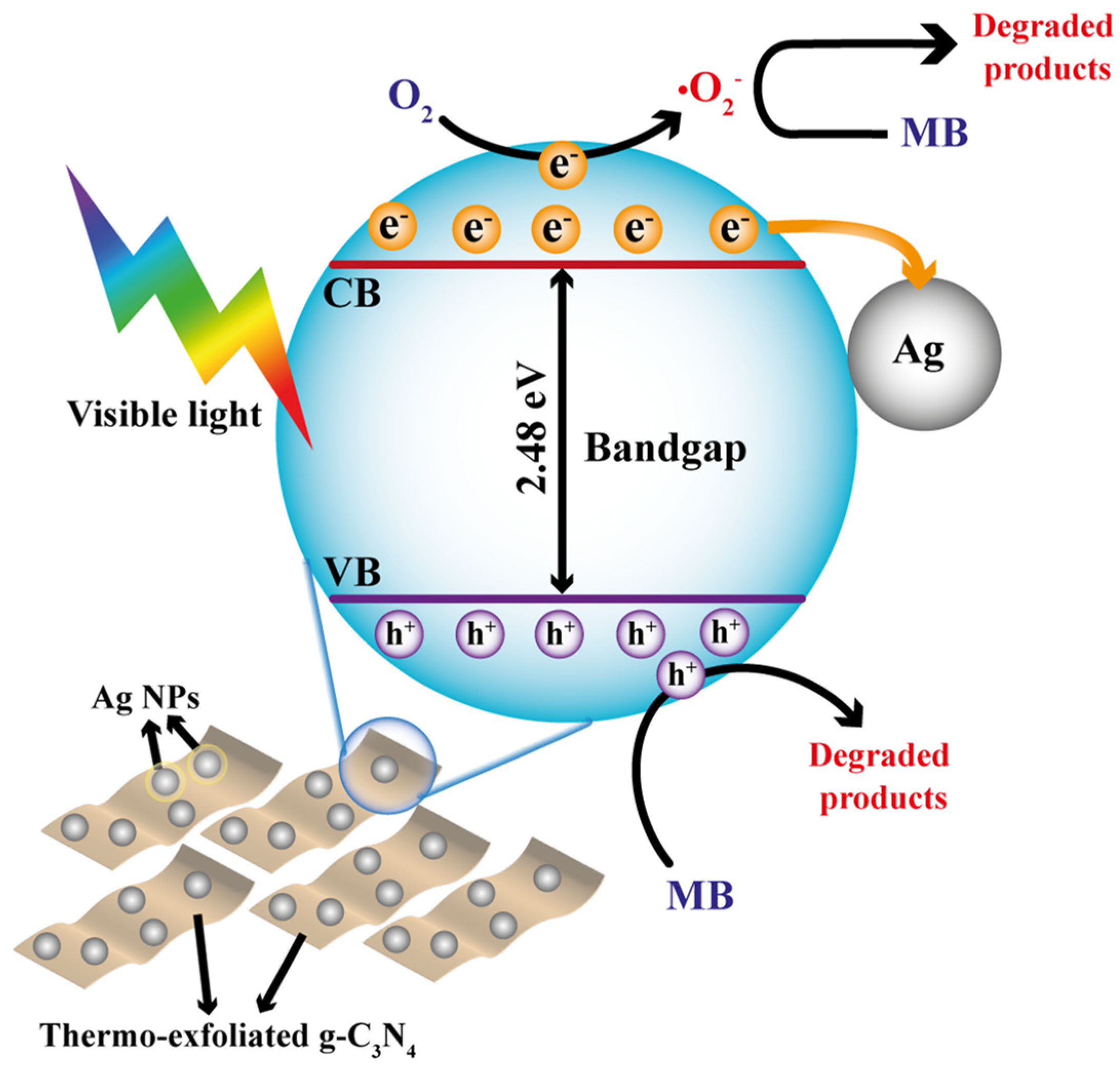 Nanomaterials 14 00623 g007