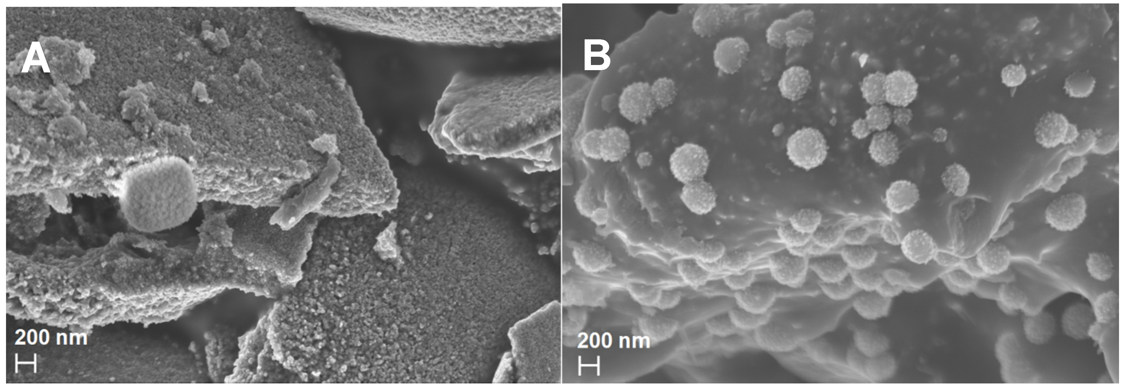 Nanomaterials 14 00624 g002