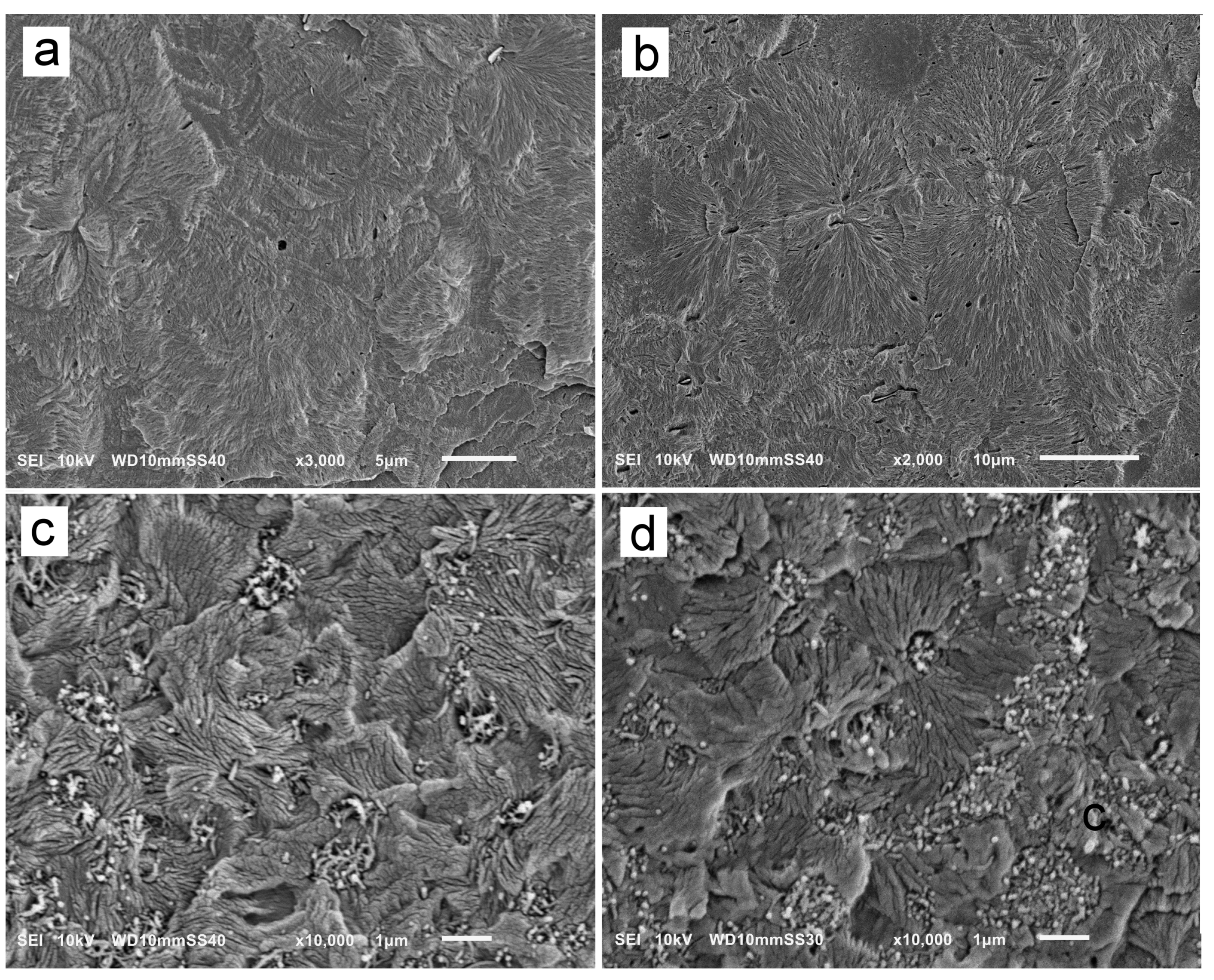 Nanomaterials 14 00629 g005