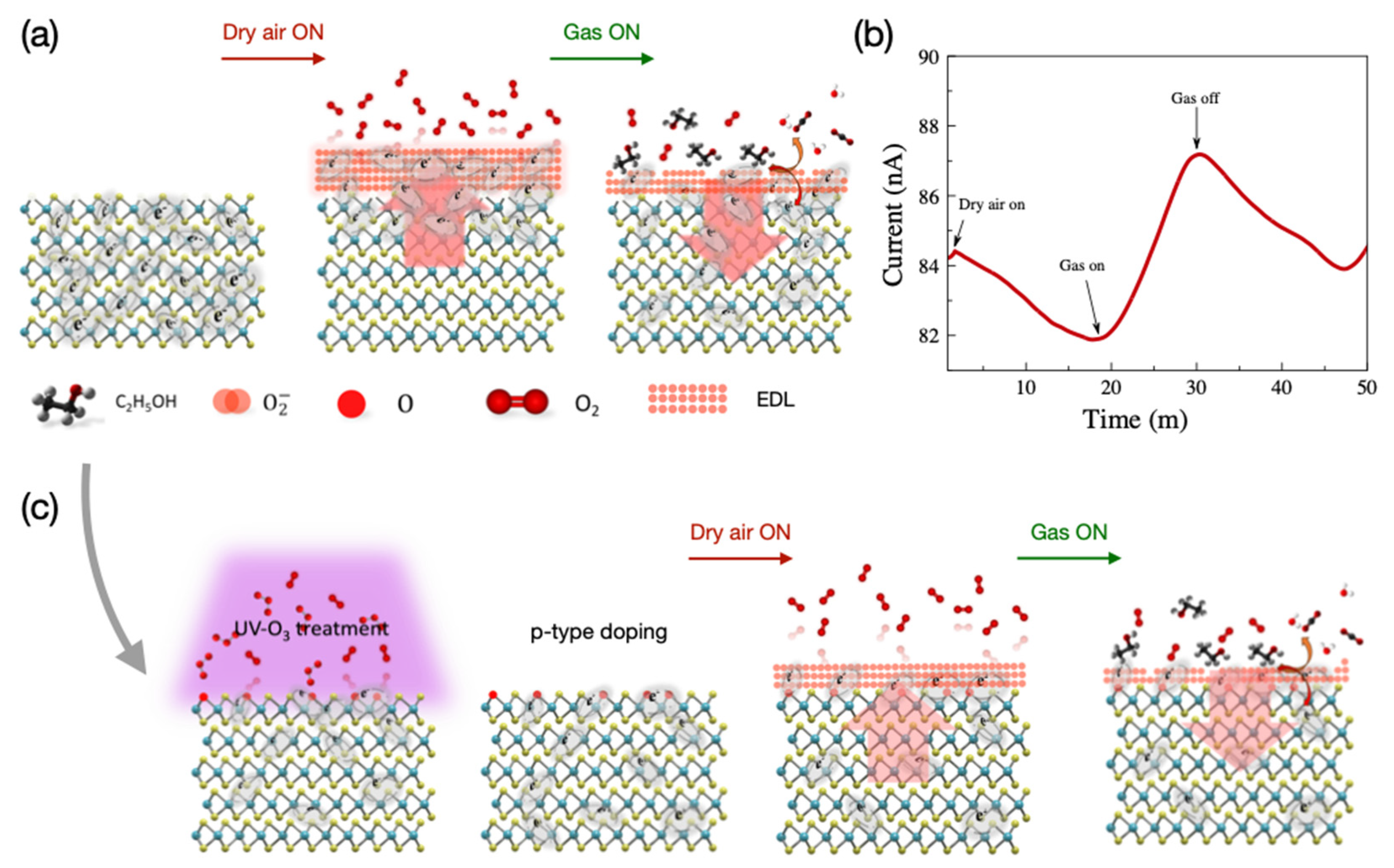 Nanomaterials 14 00633 g005