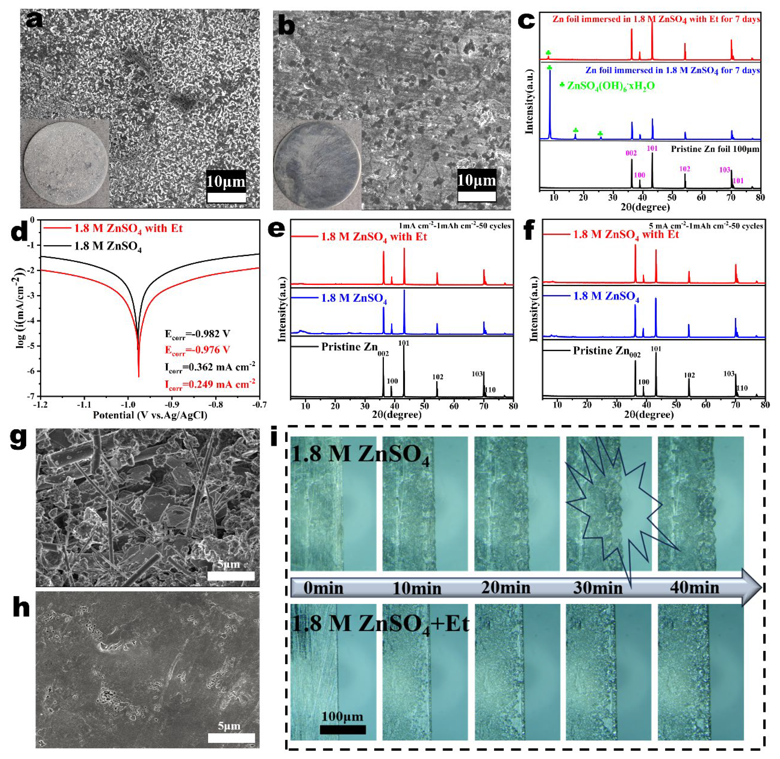 Nanomaterials 14 00644 g003 Nanomaterials 14 00644 g003