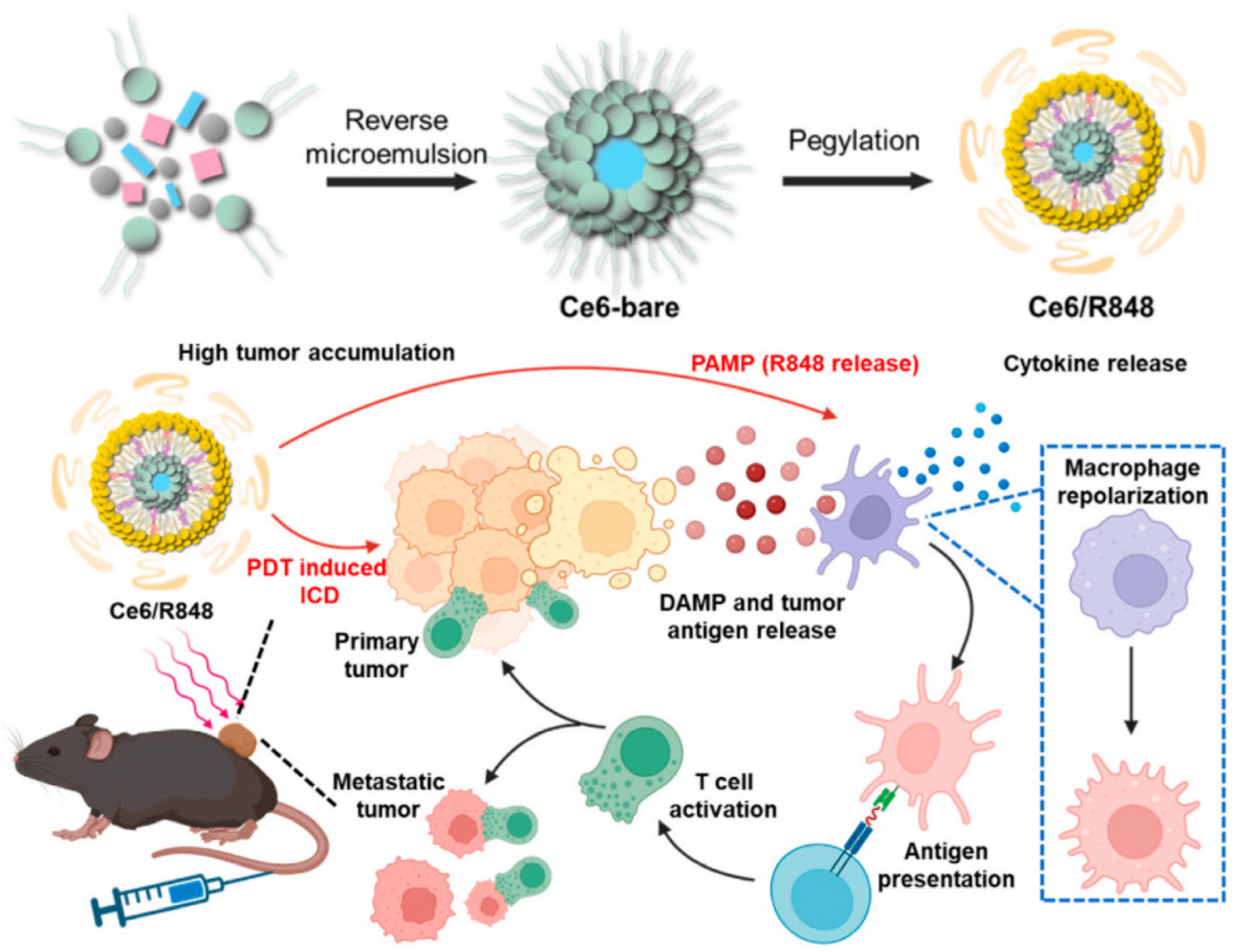 Nanomaterials 14 00648 g002 Nanomaterials 14 00648 g002