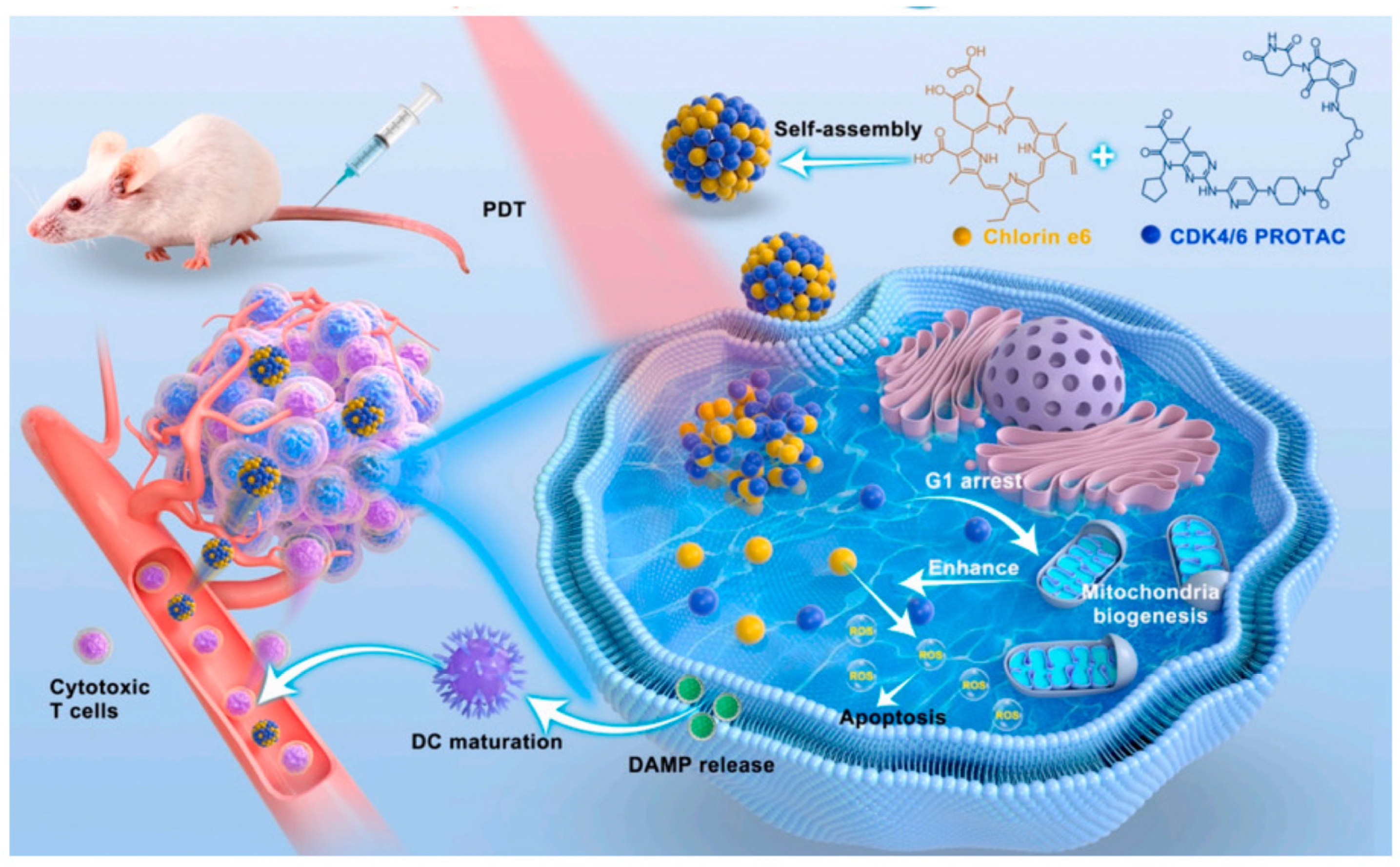 Nanomaterials 14 00648 g003 Nanomaterials 14 00648 g003
