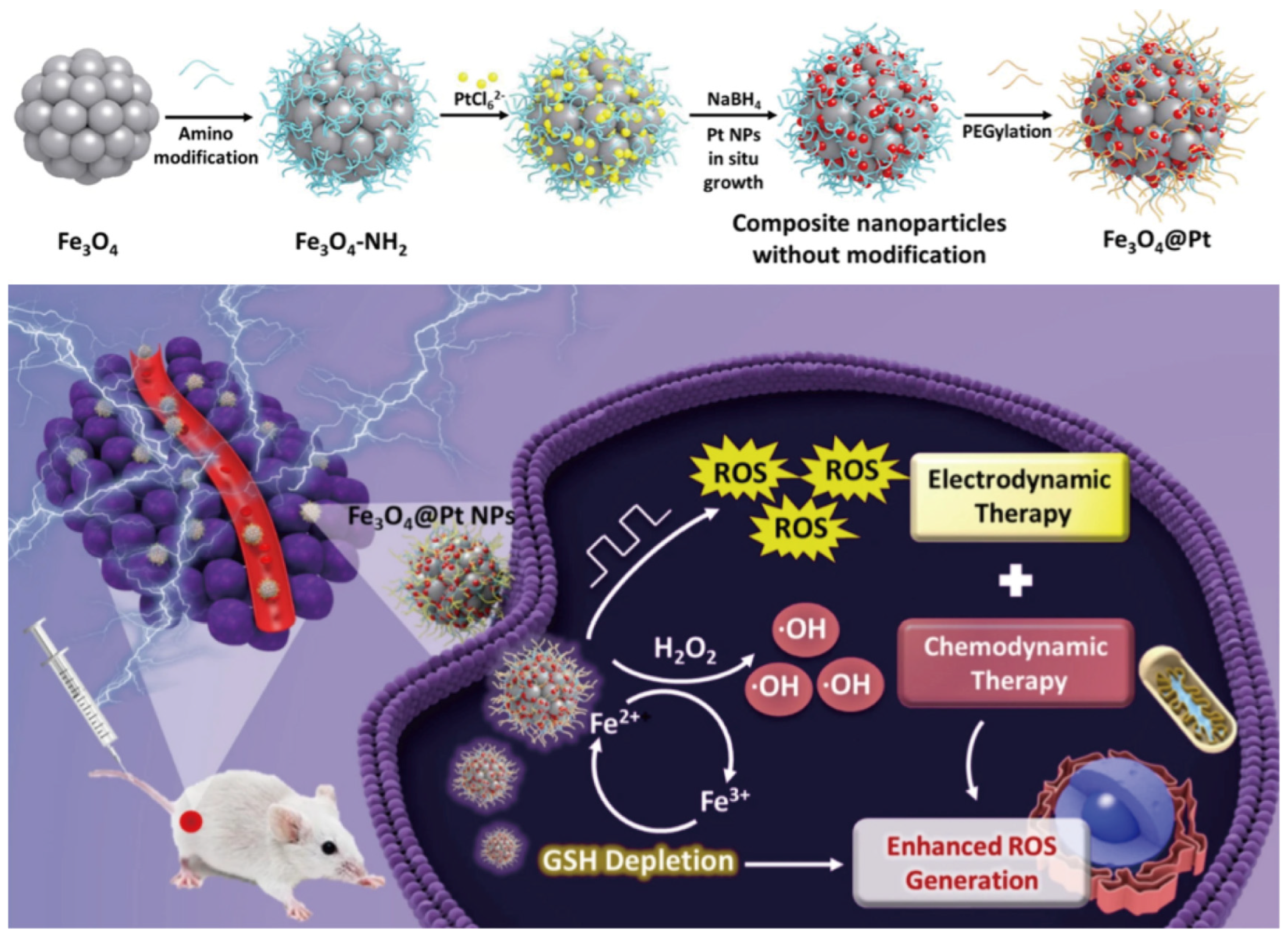 Nanomaterials 14 00648 g004 Nanomaterials 14 00648 g004