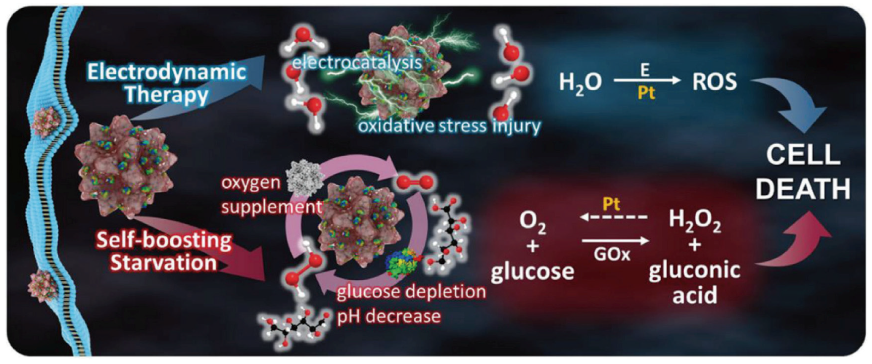Nanomaterials 14 00648 g006 Nanomaterials 14 00648 g006