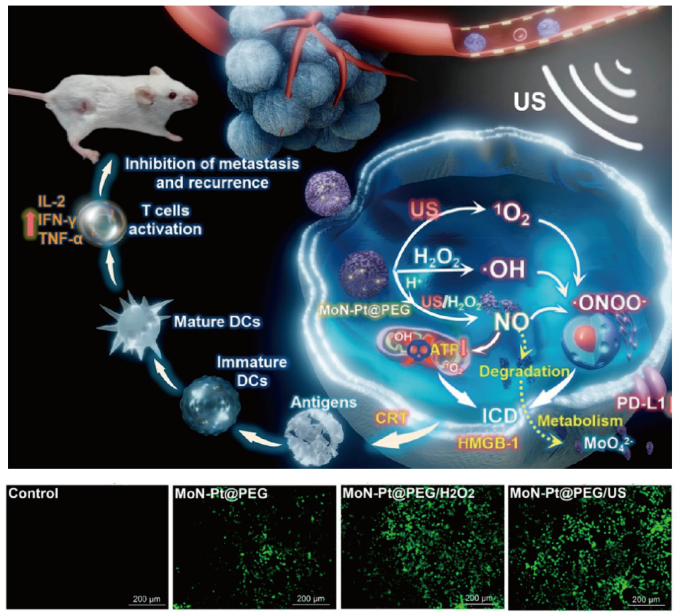 Nanomaterials 14 00648 g008 Nanomaterials 14 00648 g008