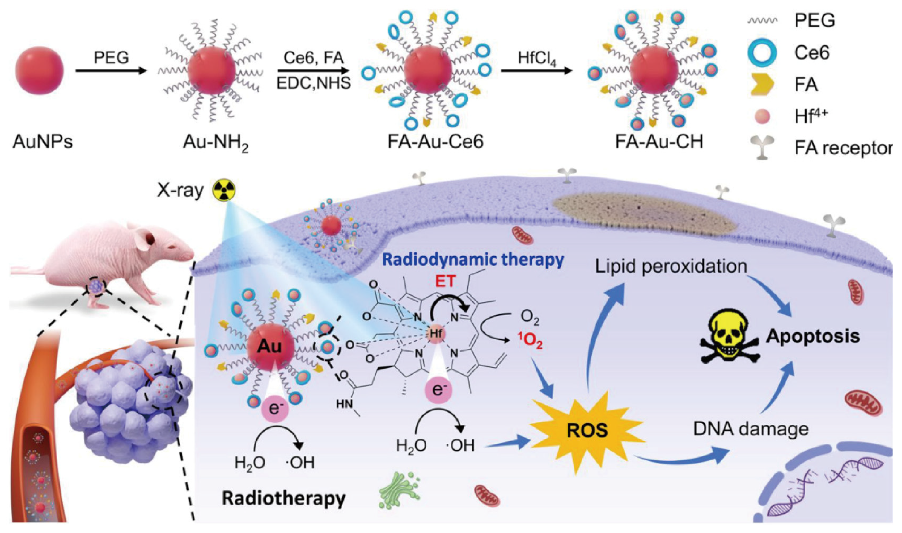 Nanomaterials 14 00648 g009 Nanomaterials 14 00648 g009