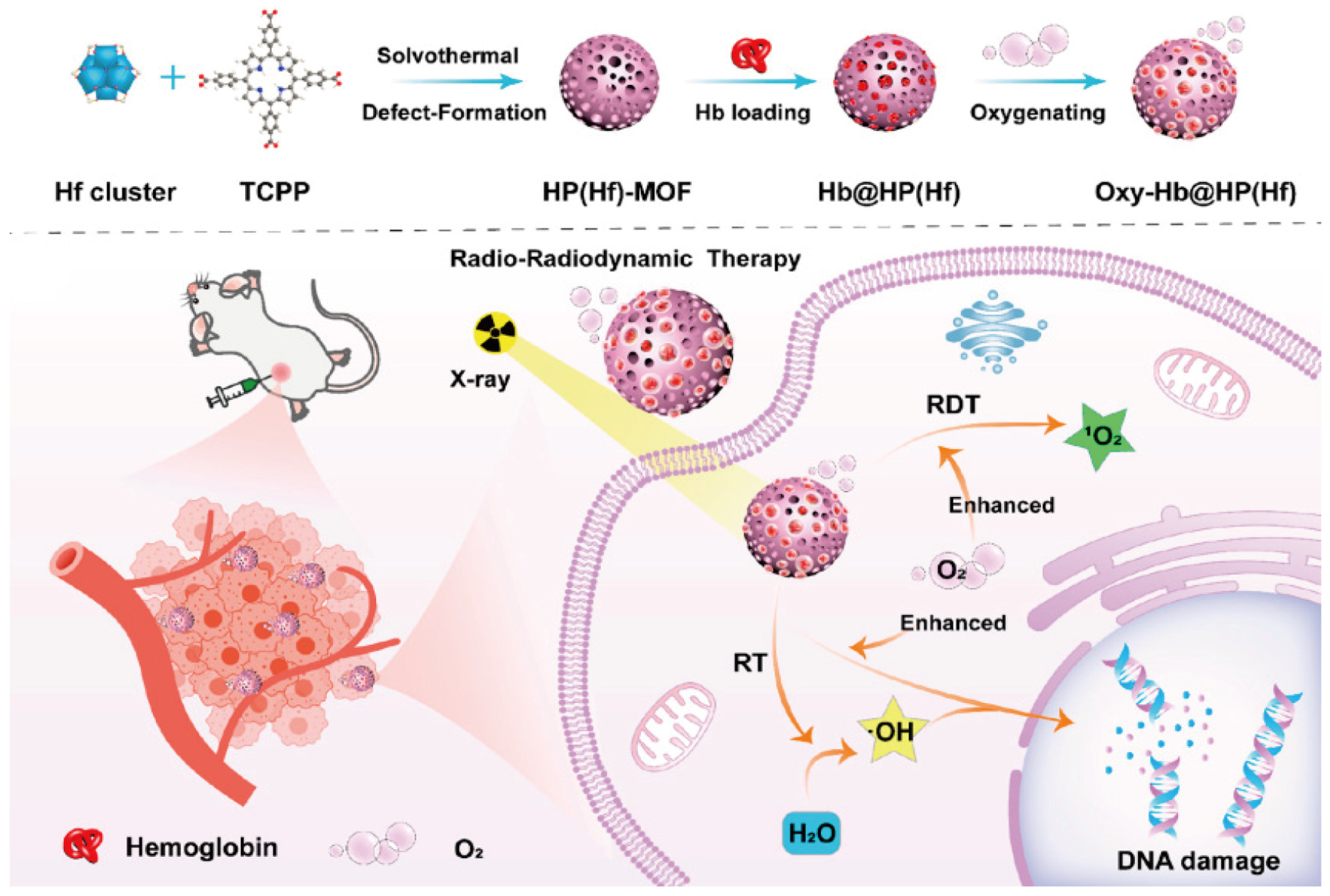 Nanomaterials 14 00648 g010 Nanomaterials 14 00648 g010