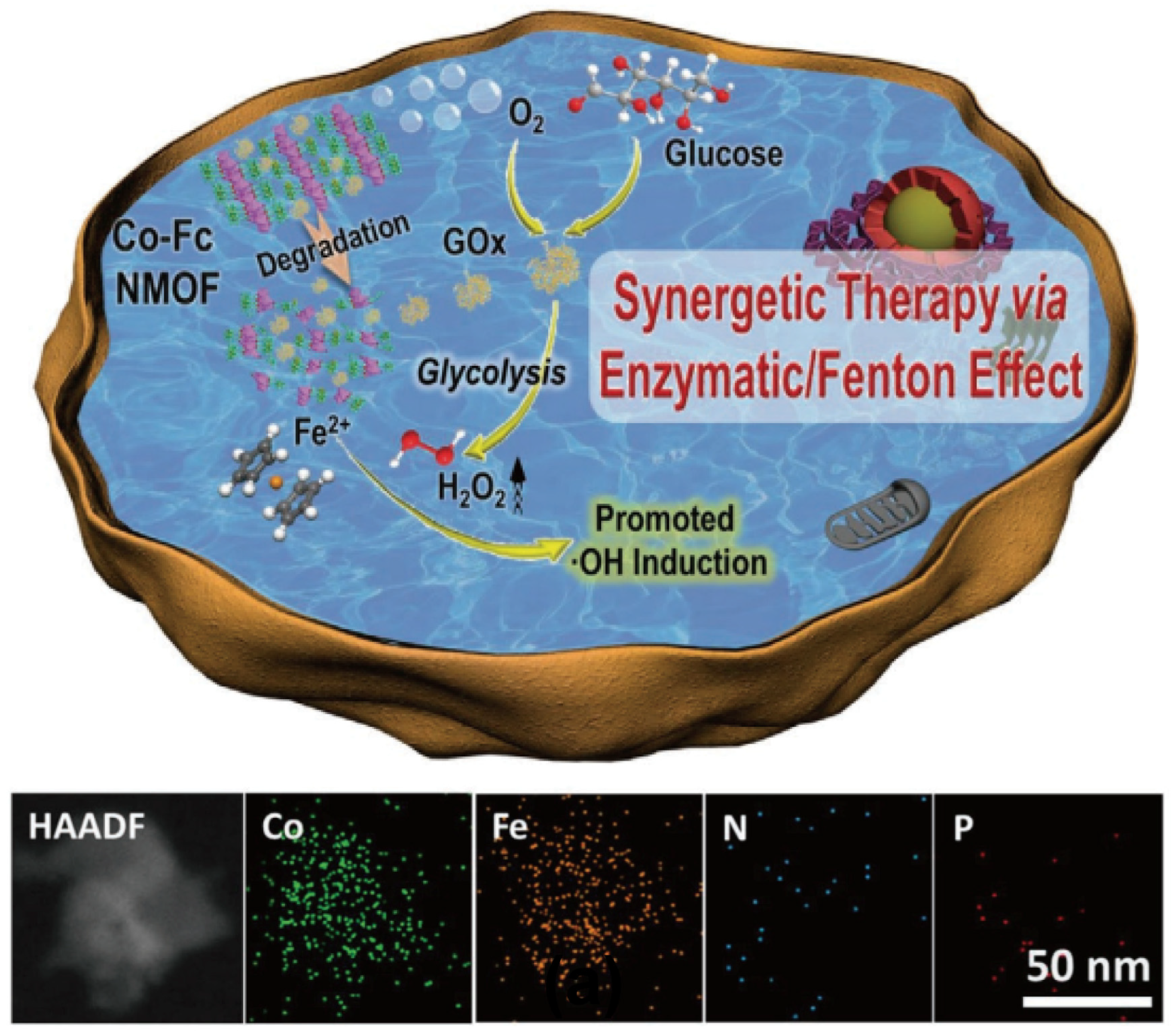Nanomaterials 14 00648 g011 Nanomaterials 14 00648 g011