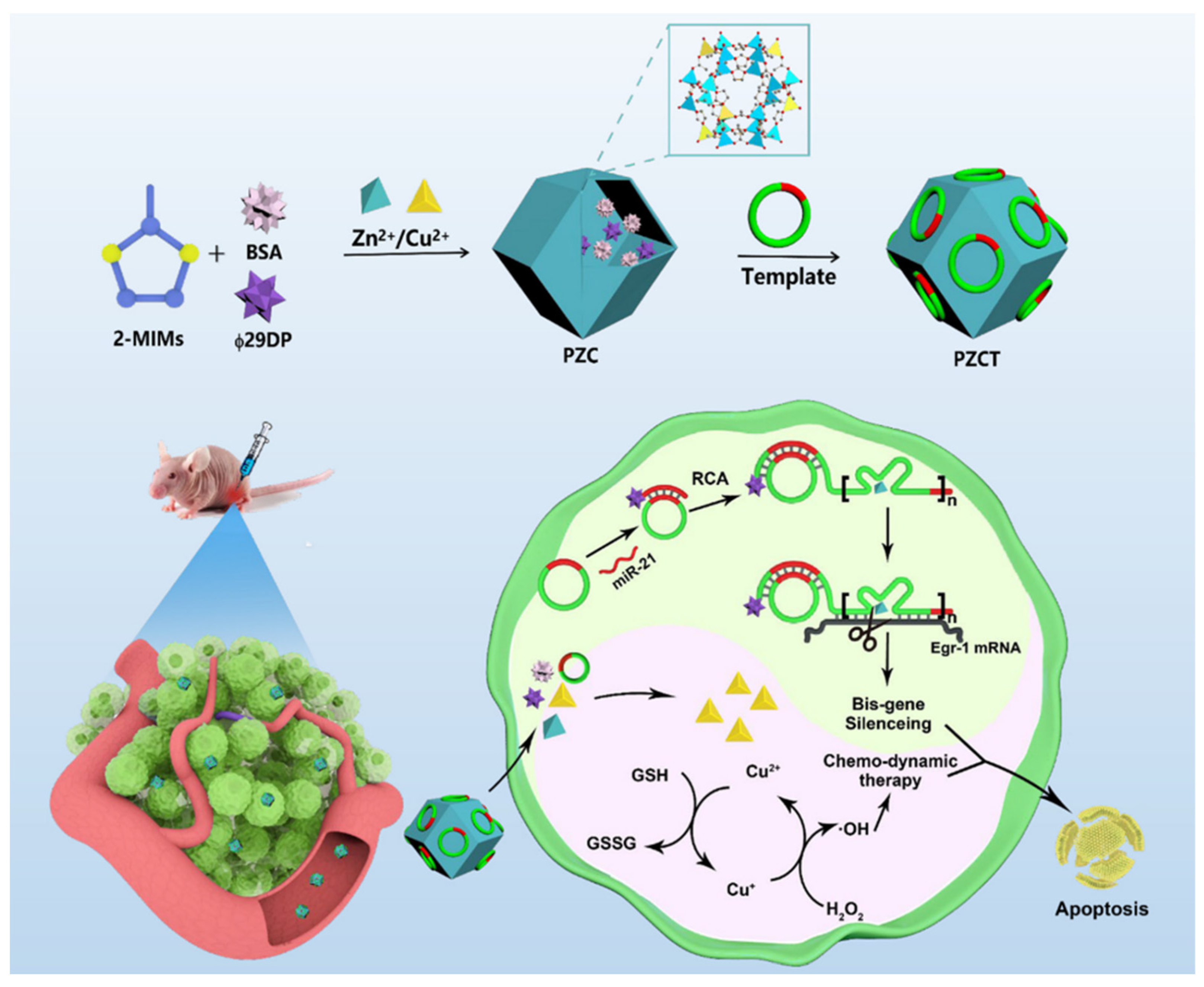 Nanomaterials 14 00648 g012 Nanomaterials 14 00648 g012