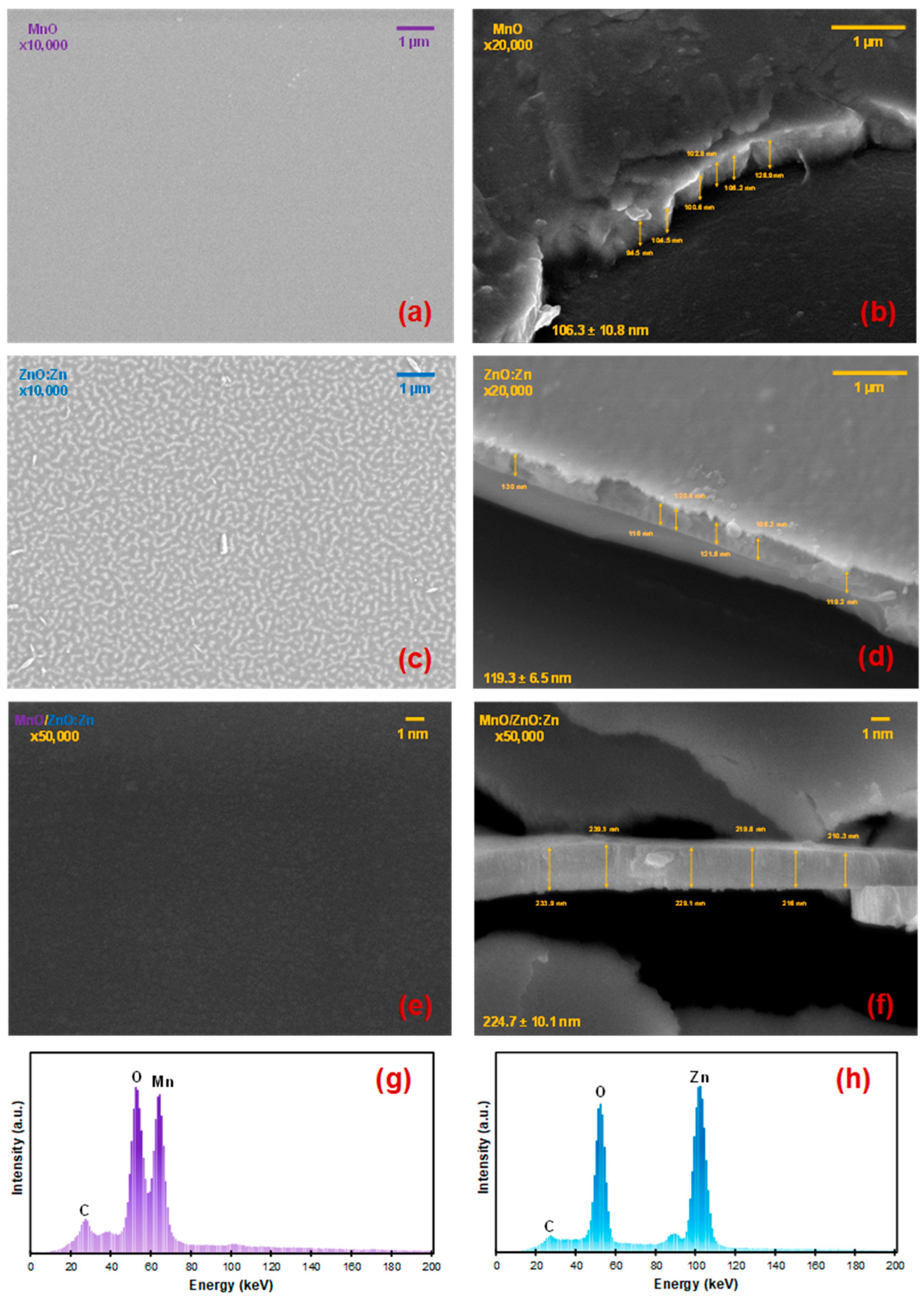 Nanomaterials 14 00659 g005