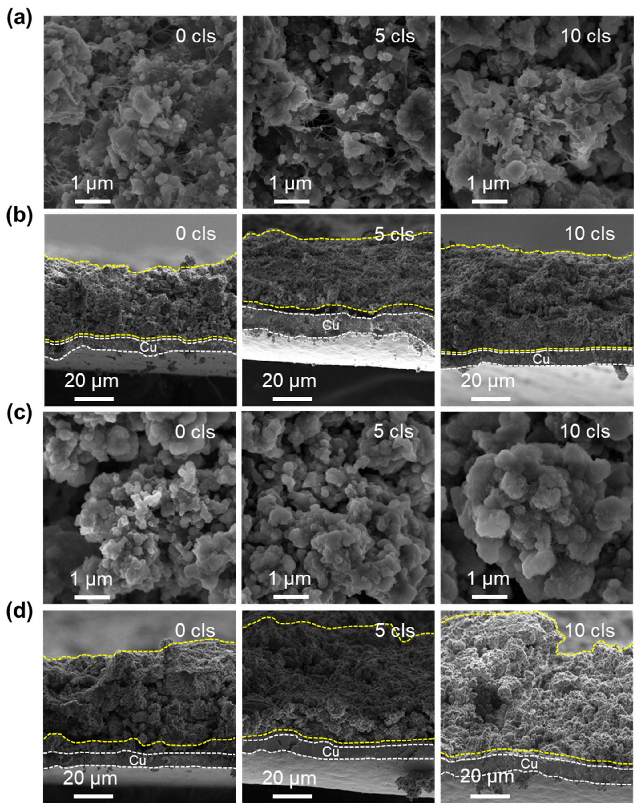 Nanomaterials 14 00660 g005