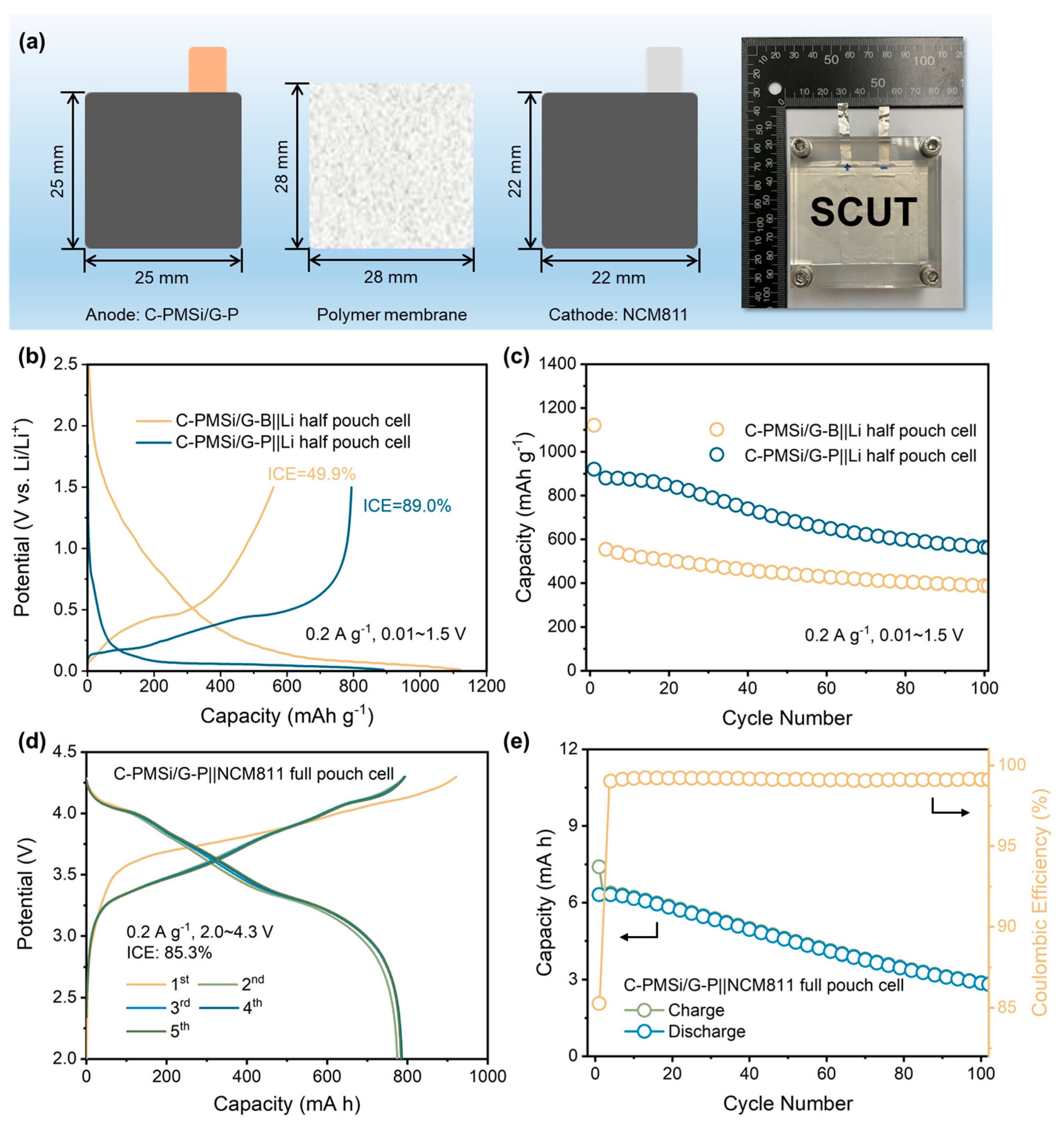 Nanomaterials 14 00660 g007