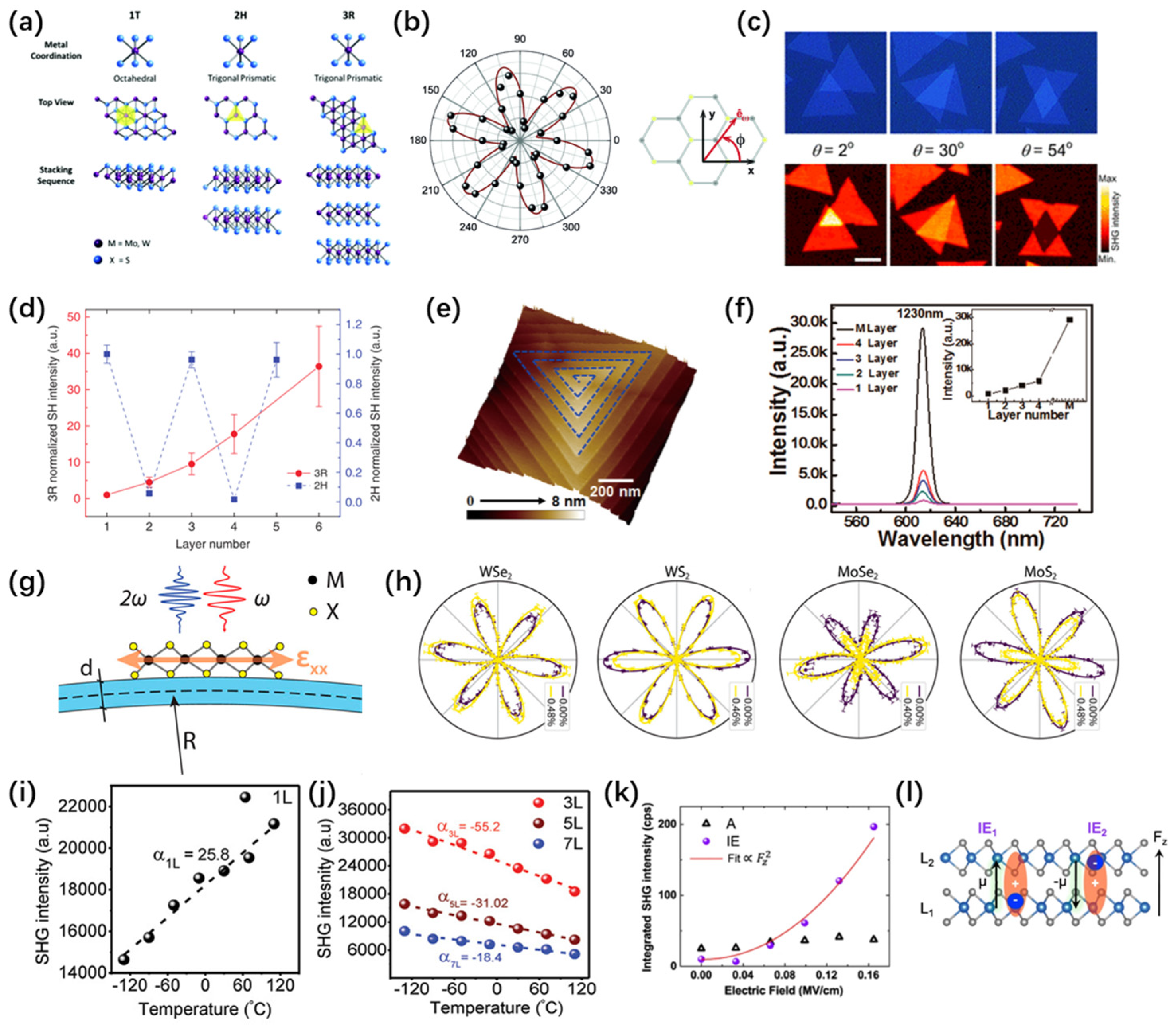 Nanomaterials 14 00662 g005