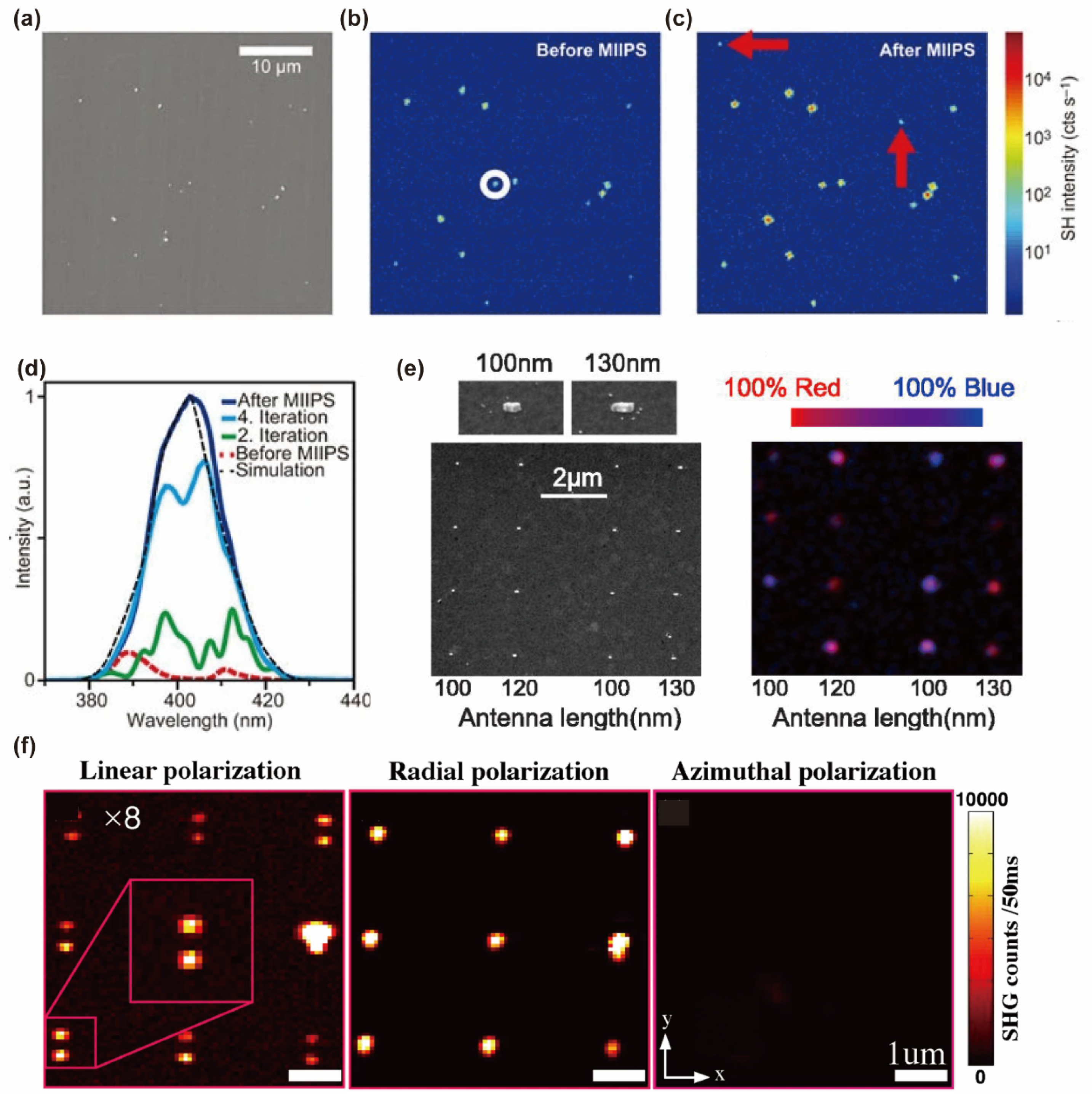 Nanomaterials 14 00662 g015