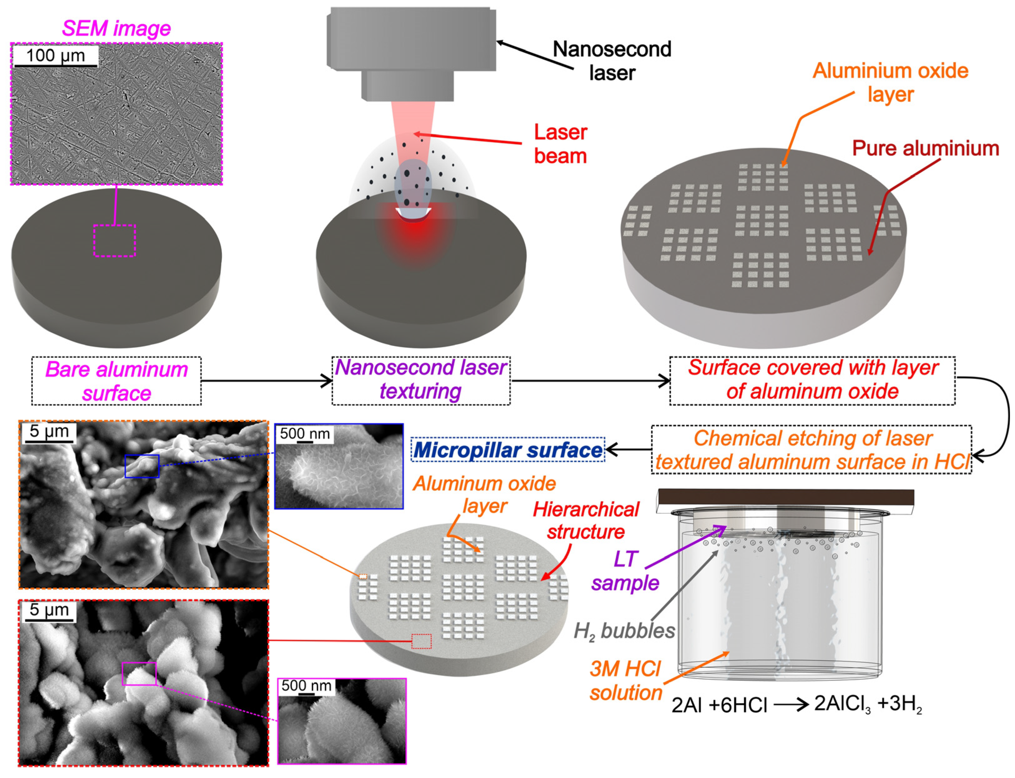 Nanomaterials 14 00667 g001