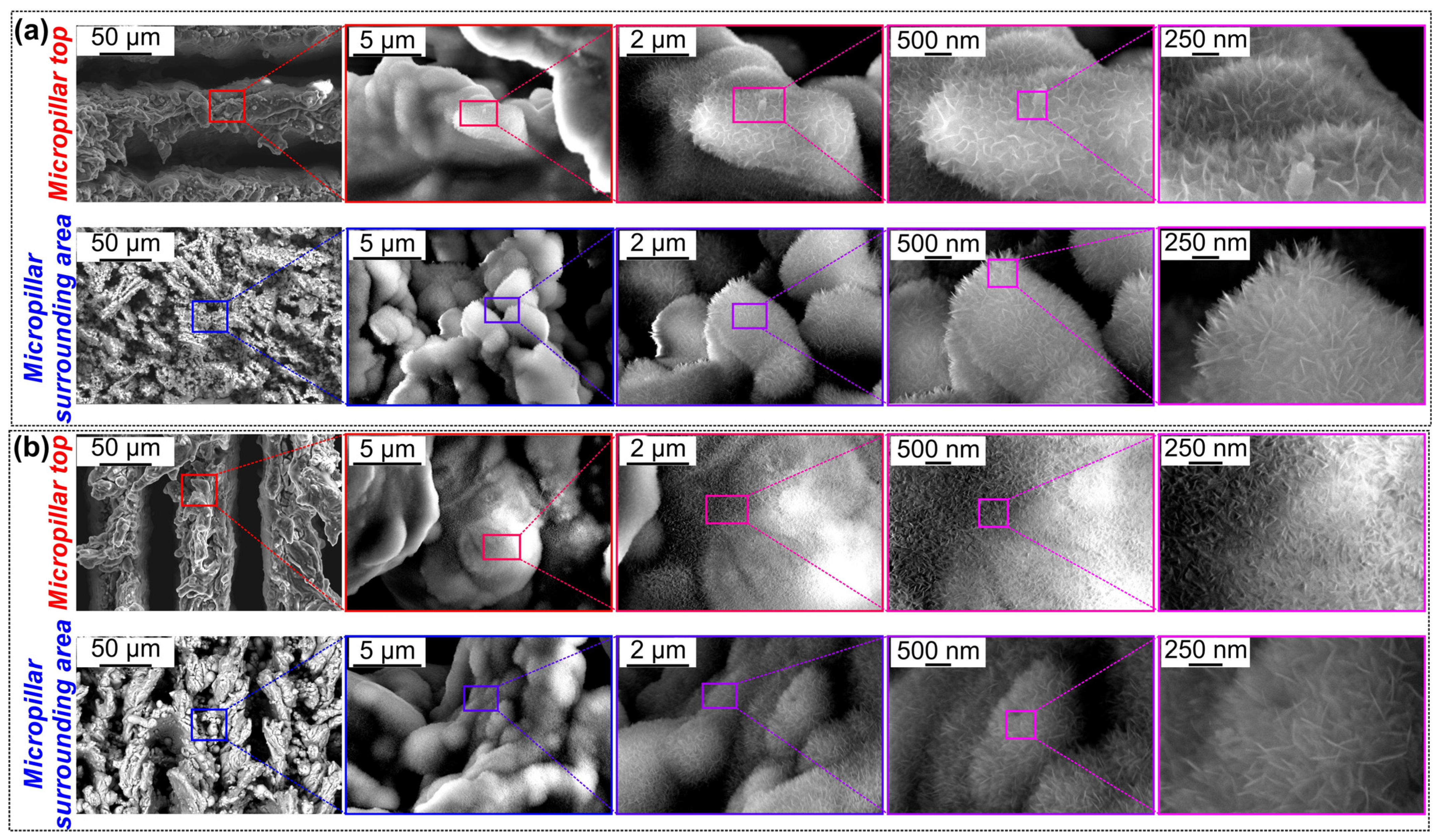 Nanomaterials 14 00667 g004