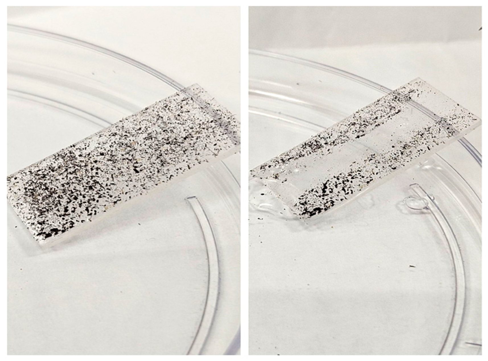 Nanomaterials 14 00674 g008