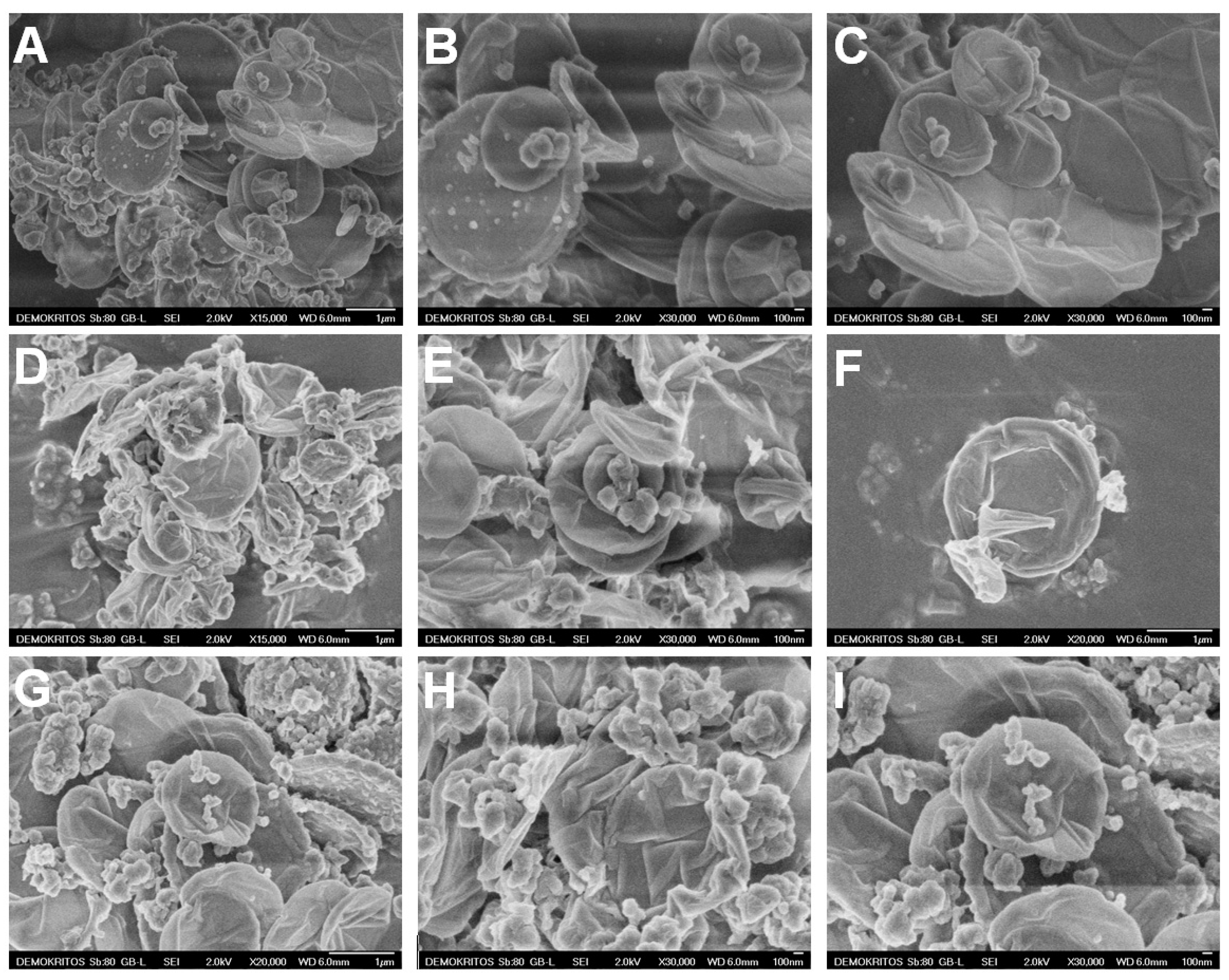 Nanomaterials 14 00677 g004
