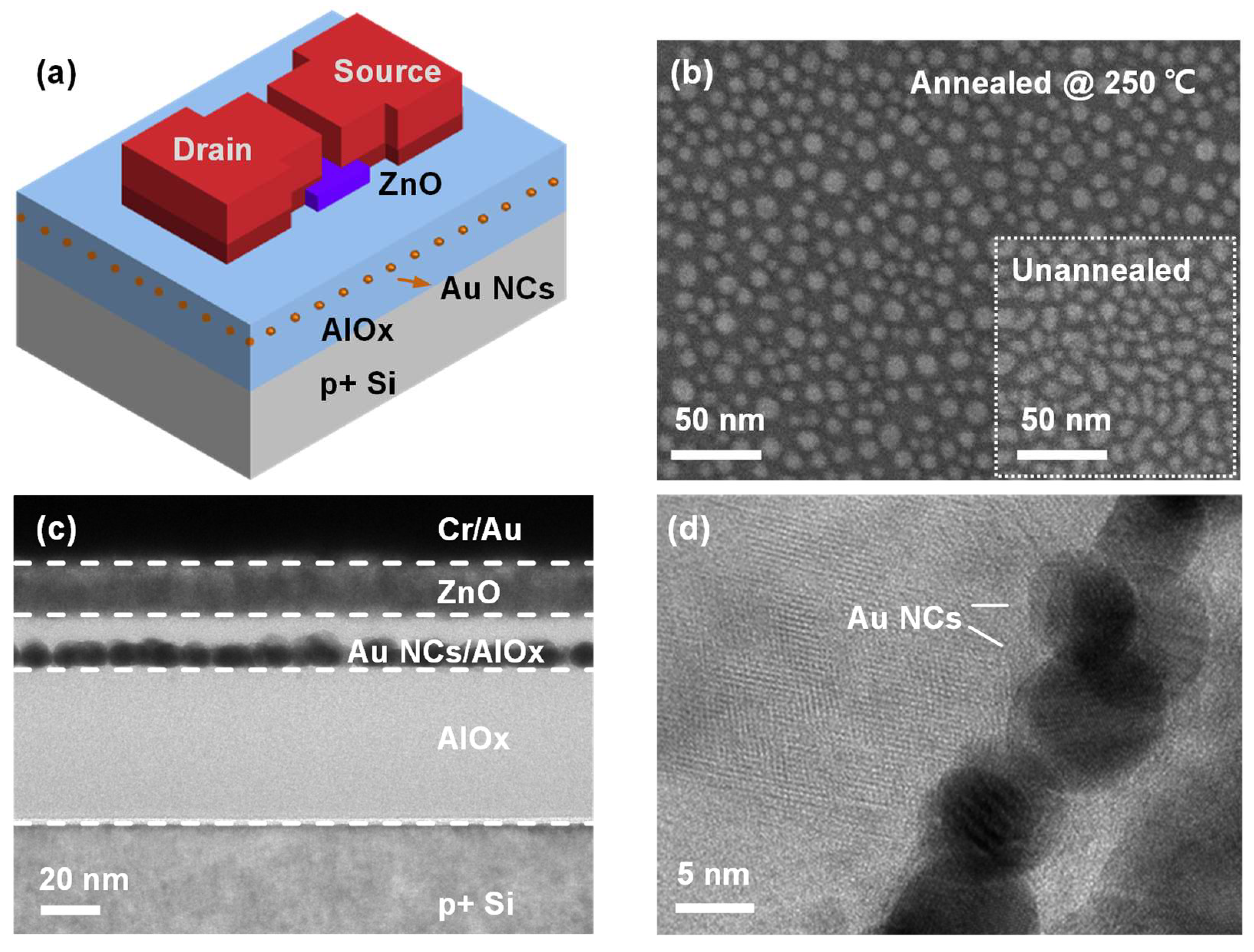 Nanomaterials 14 00678 g001