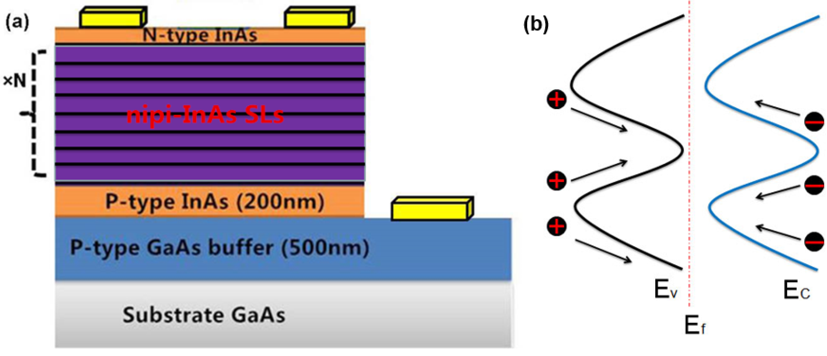 Nanomaterials 14 00682 g001